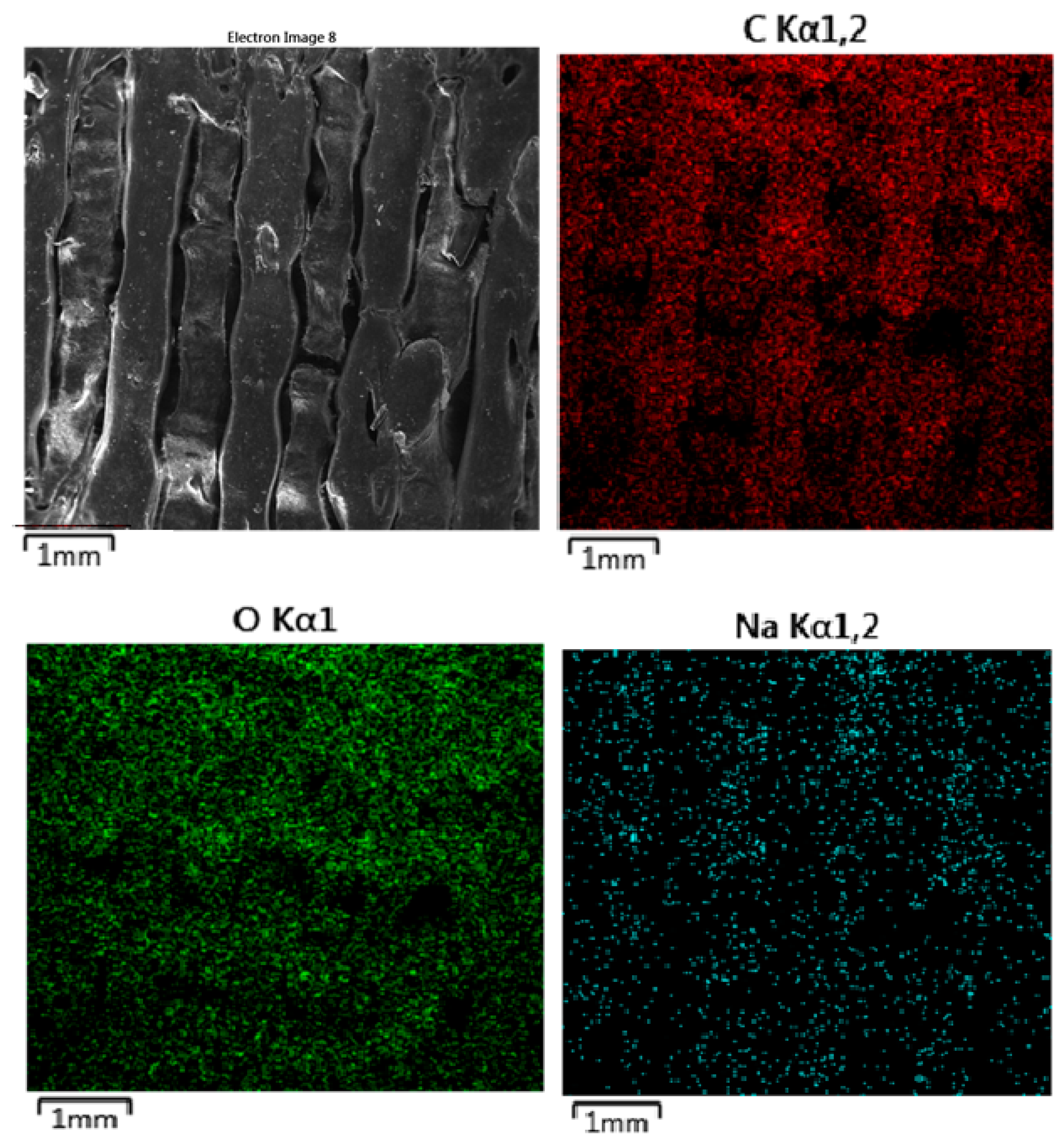 Polymers 16 02969 g019