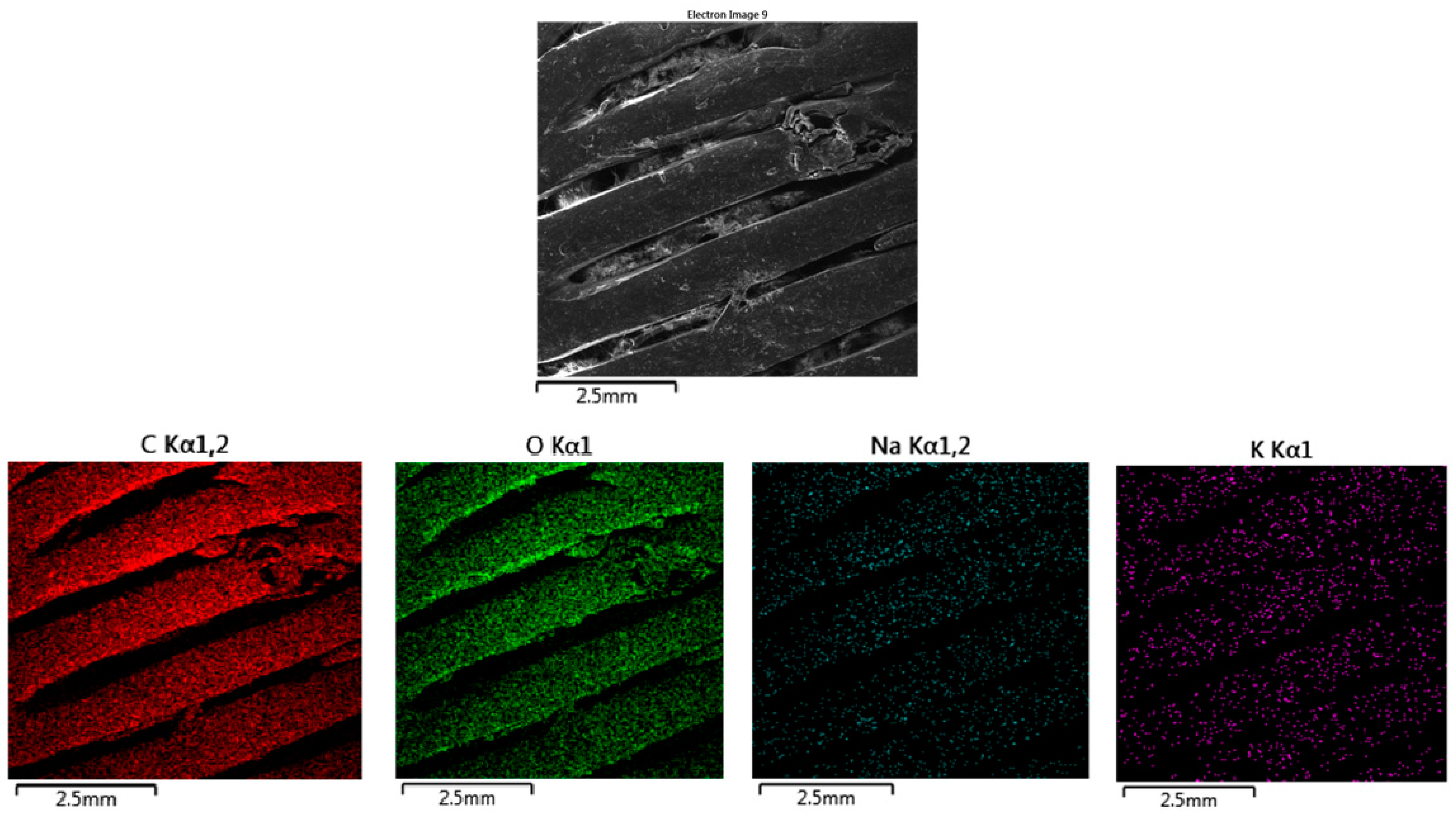 Polymers 16 02969 g020