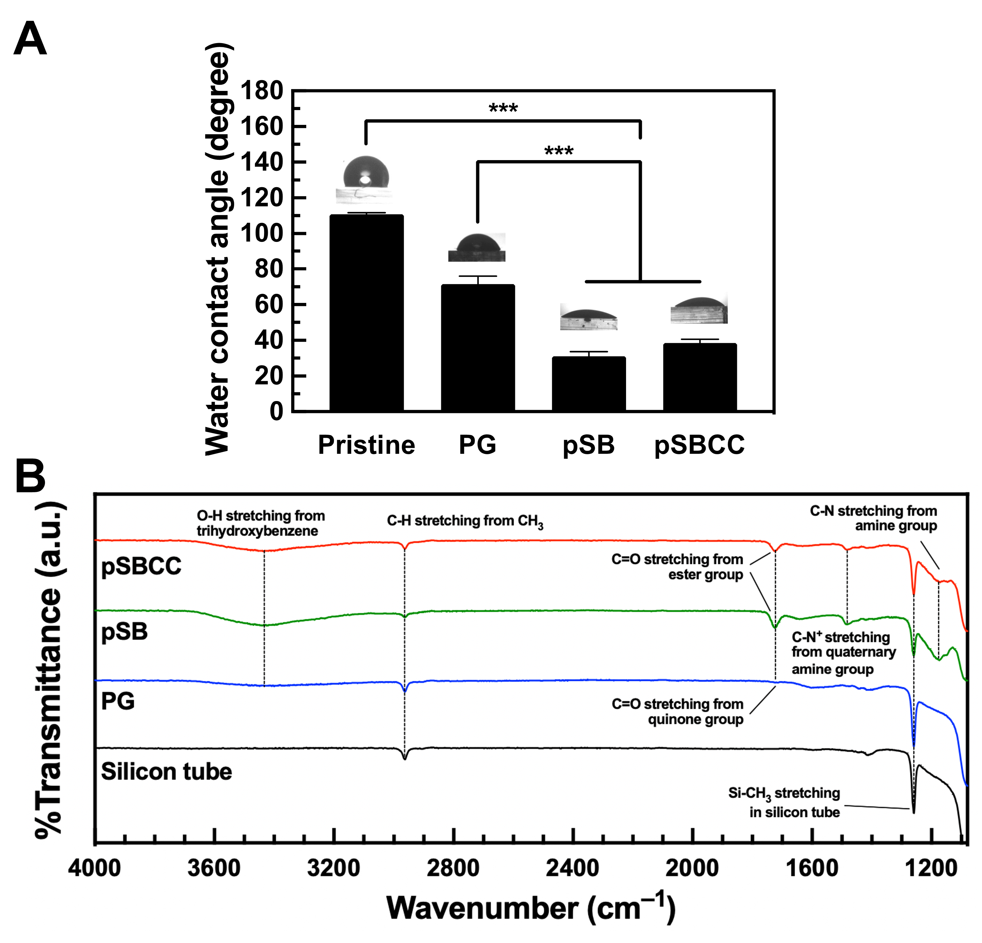 Polymers 16 02974 g002