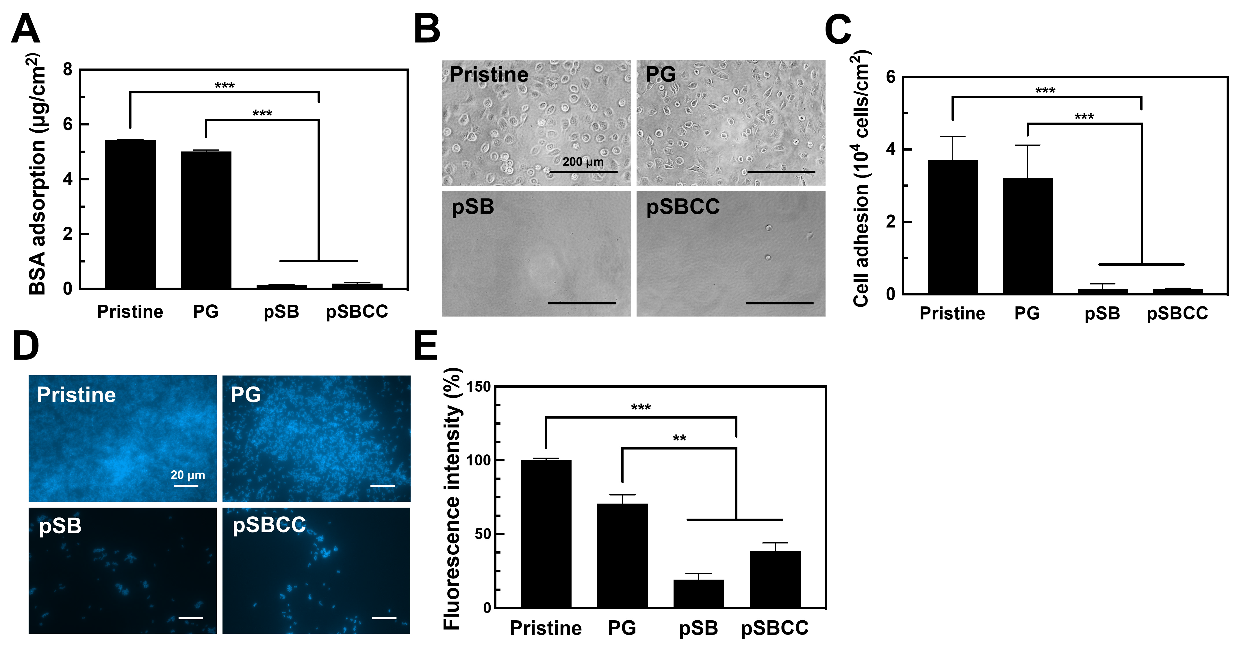 Polymers 16 02974 g003