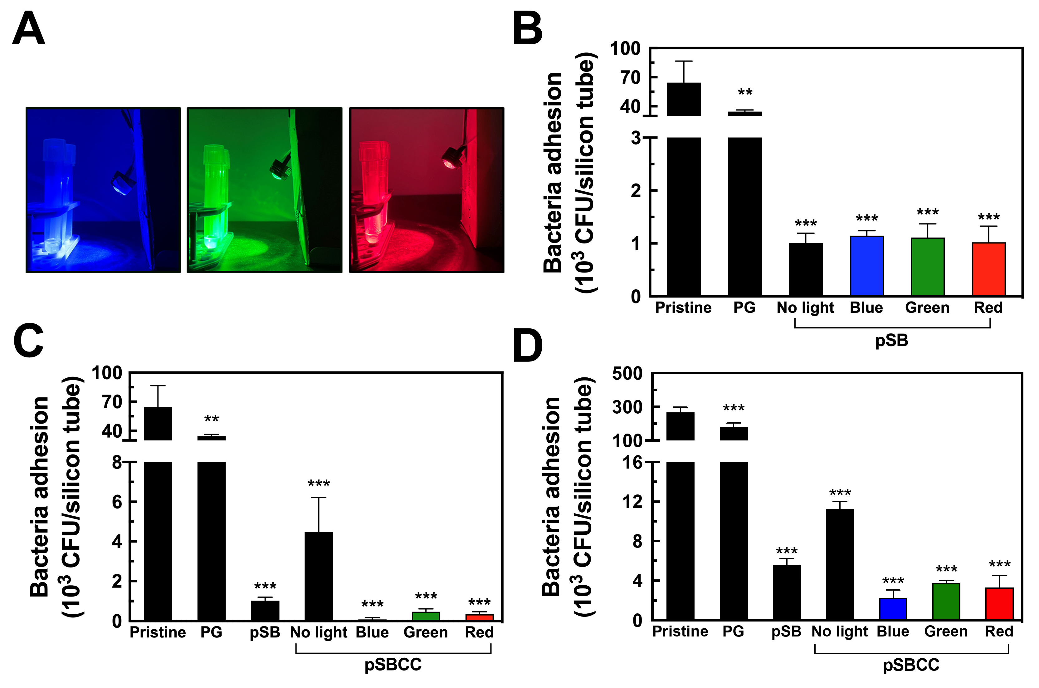Polymers 16 02974 g005