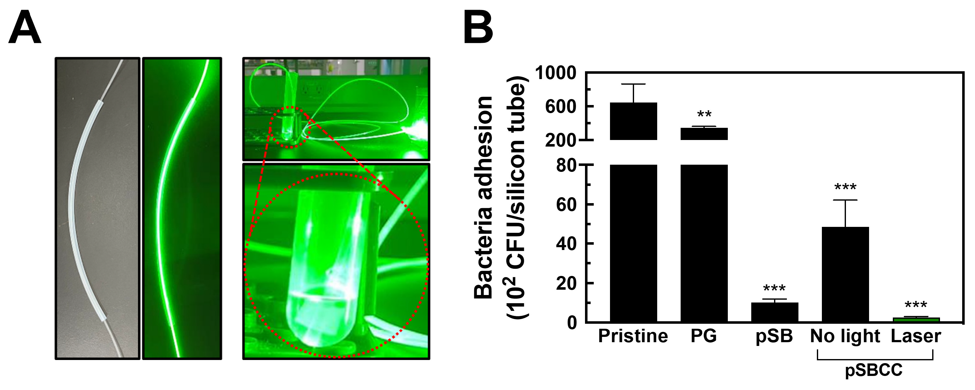 Polymers 16 02974 g006