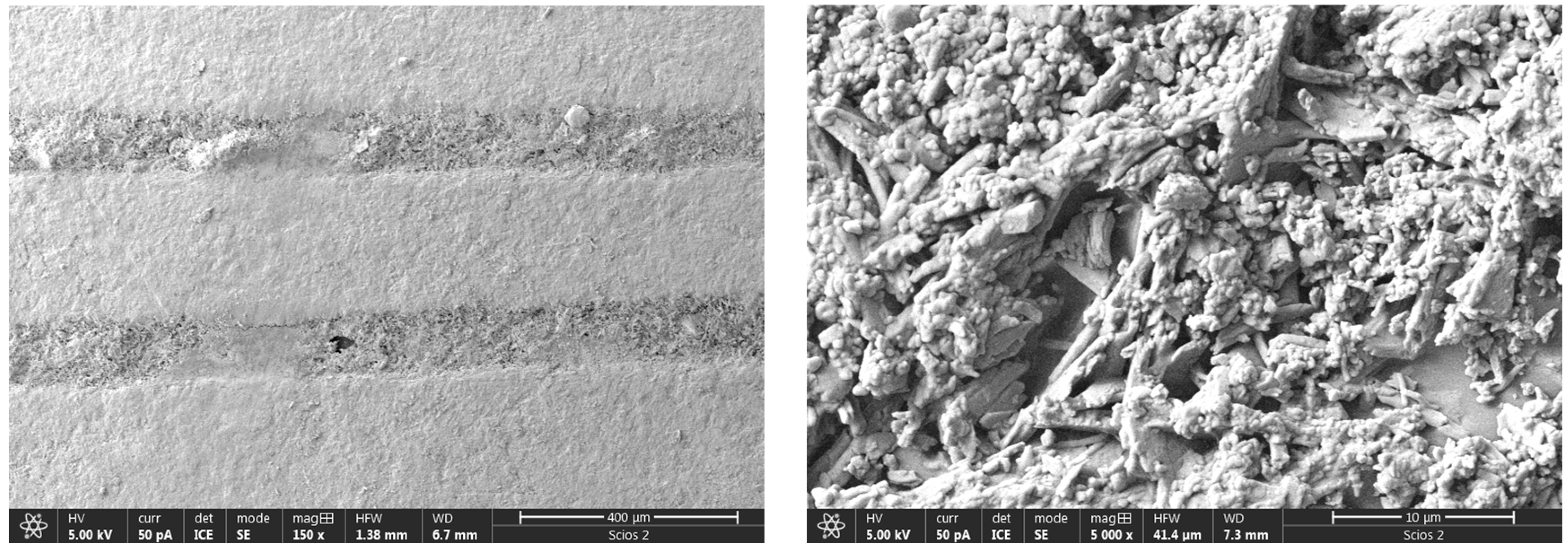 Polymers 16 02976 g006