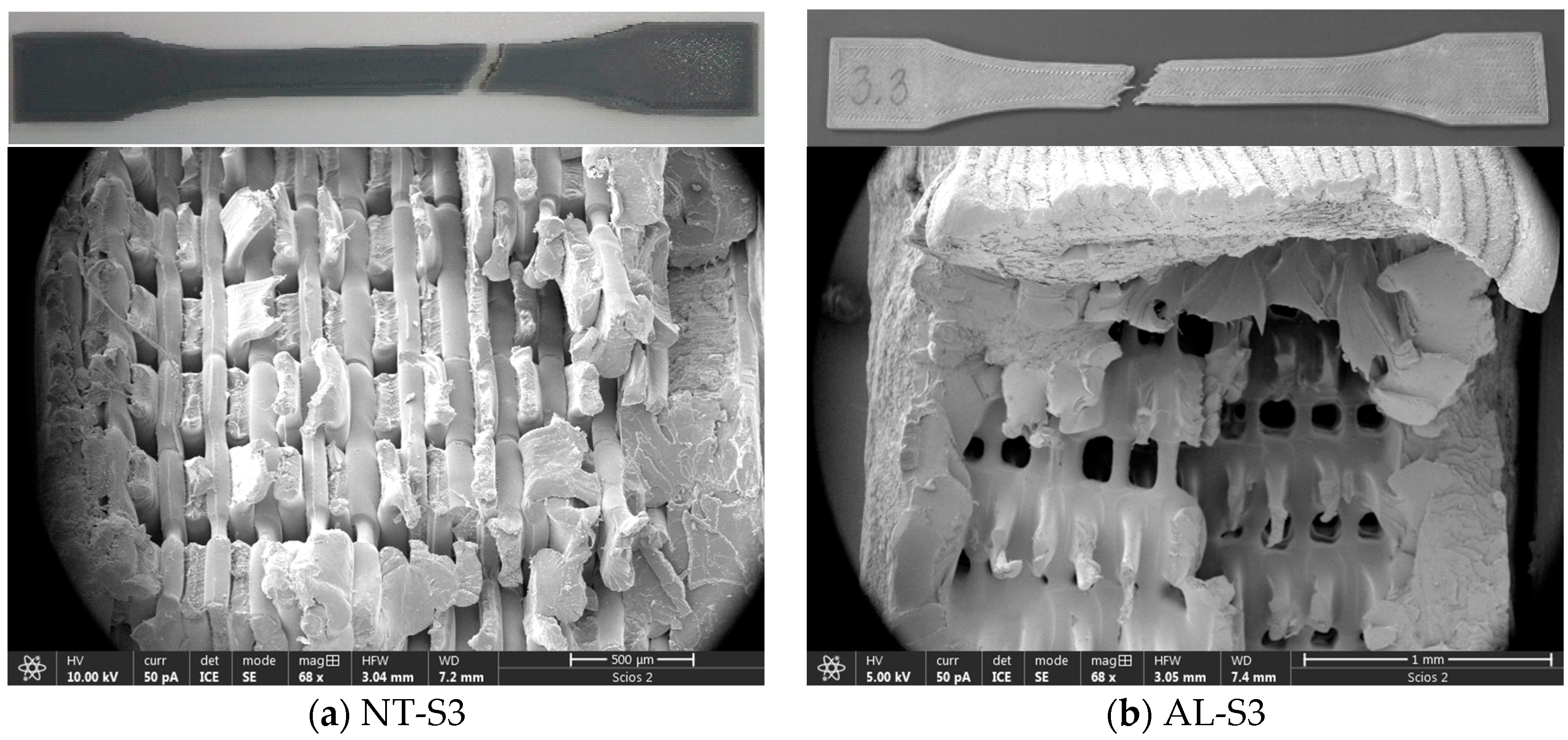 Polymers 16 02976 g012