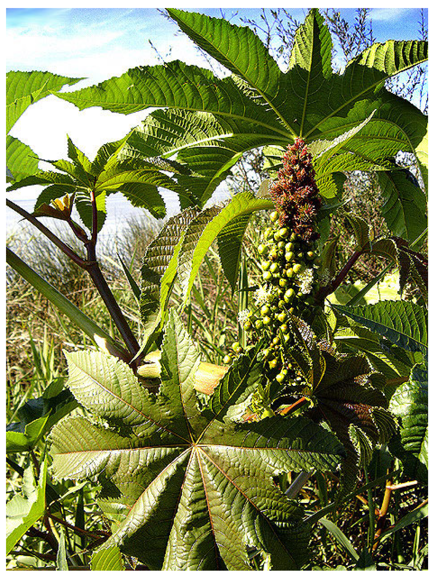 Polymers 16 02980 g002