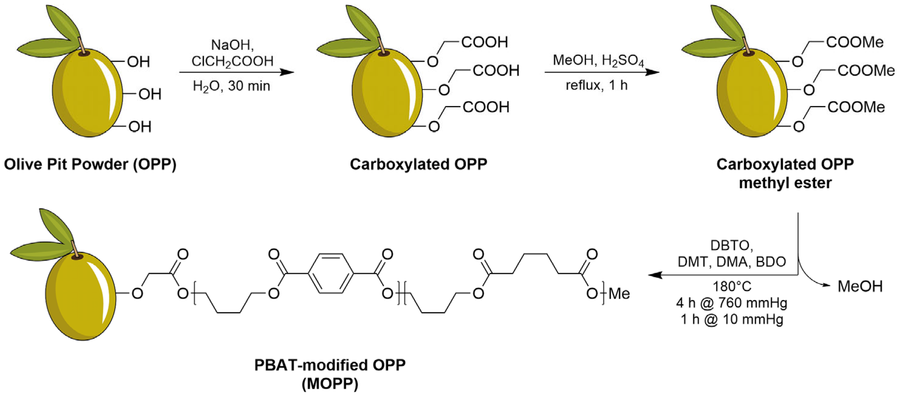Polymers 16 02981 g002