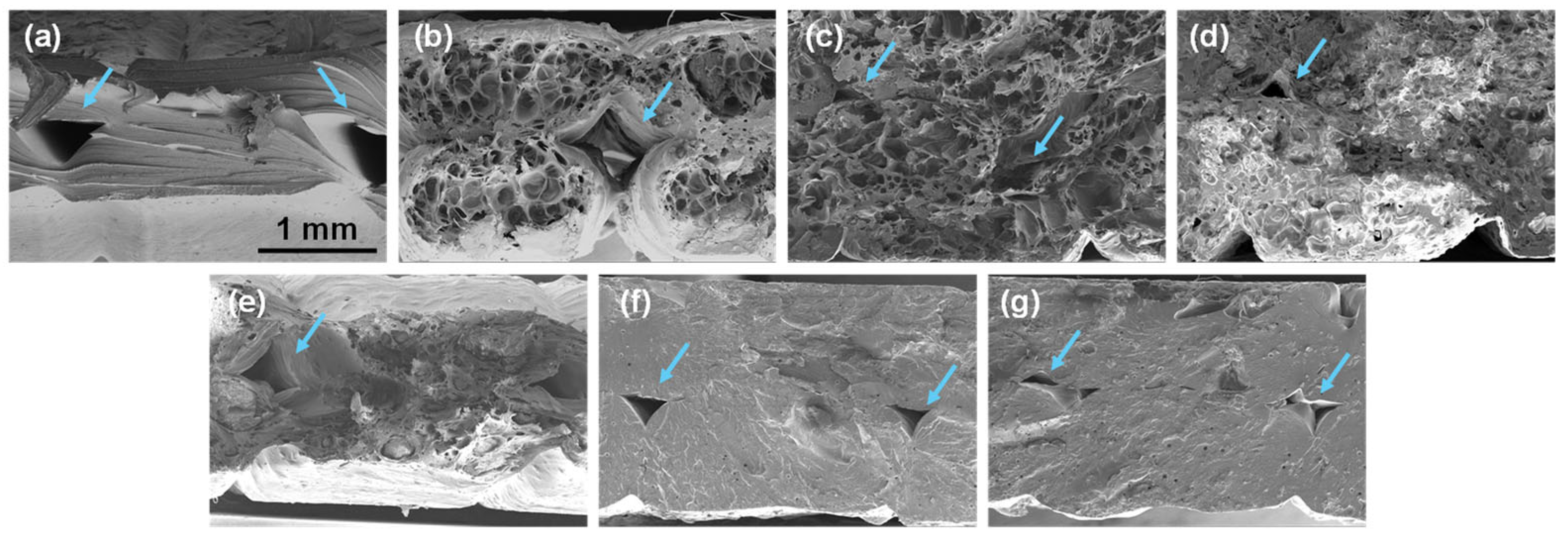 Polymers 16 02981 g011