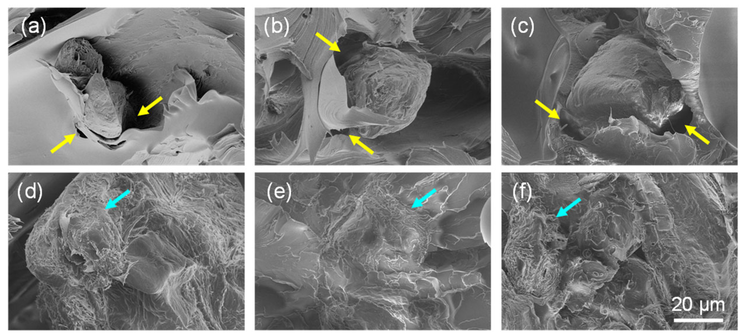 Polymers 16 02981 g012