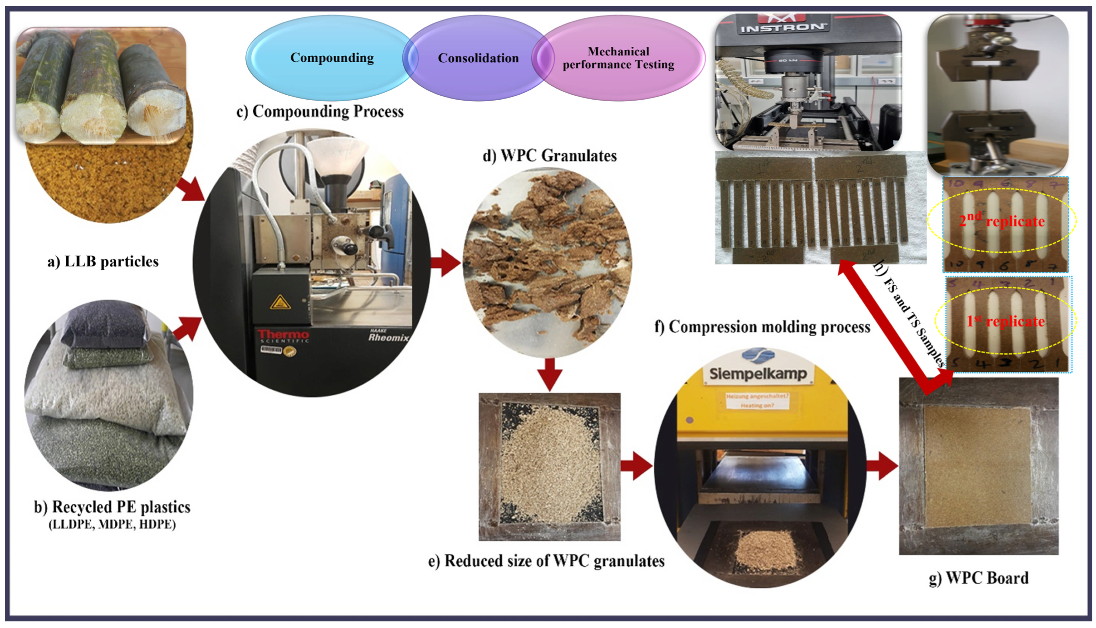 Polymers 16 02982 g001