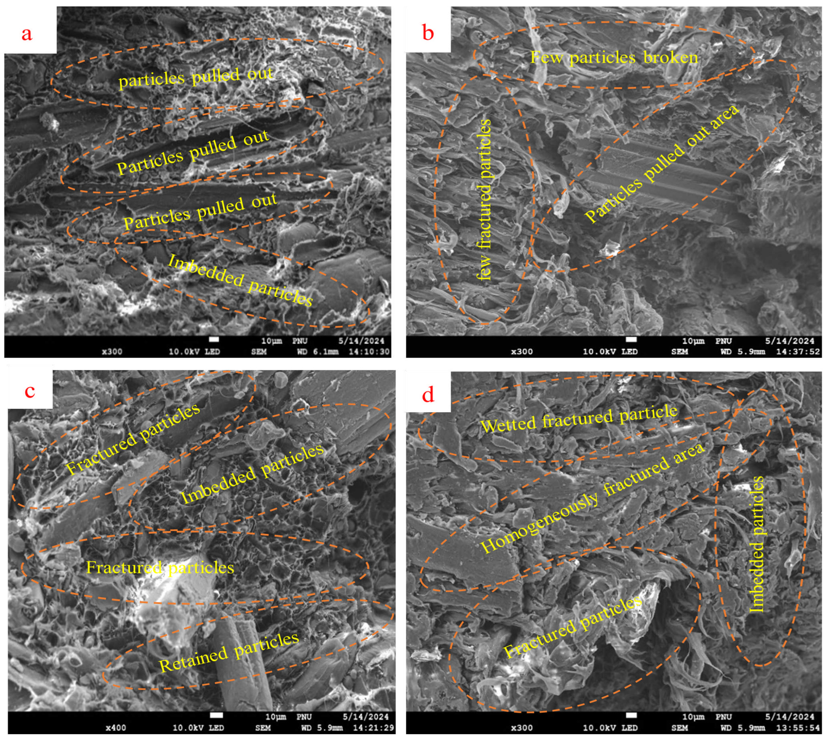 Polymers 16 02982 g008
