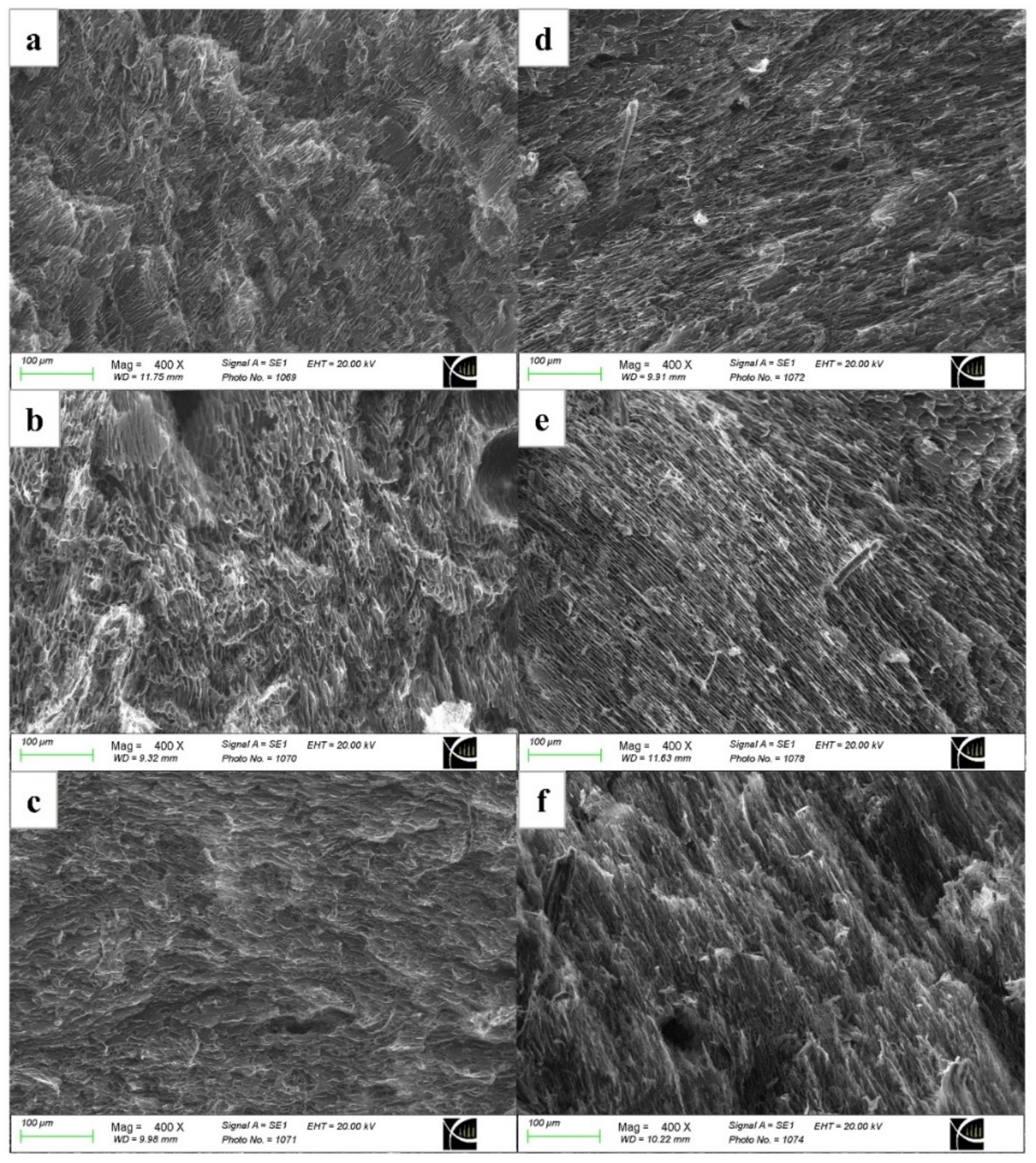 Polymers 16 02984 g004