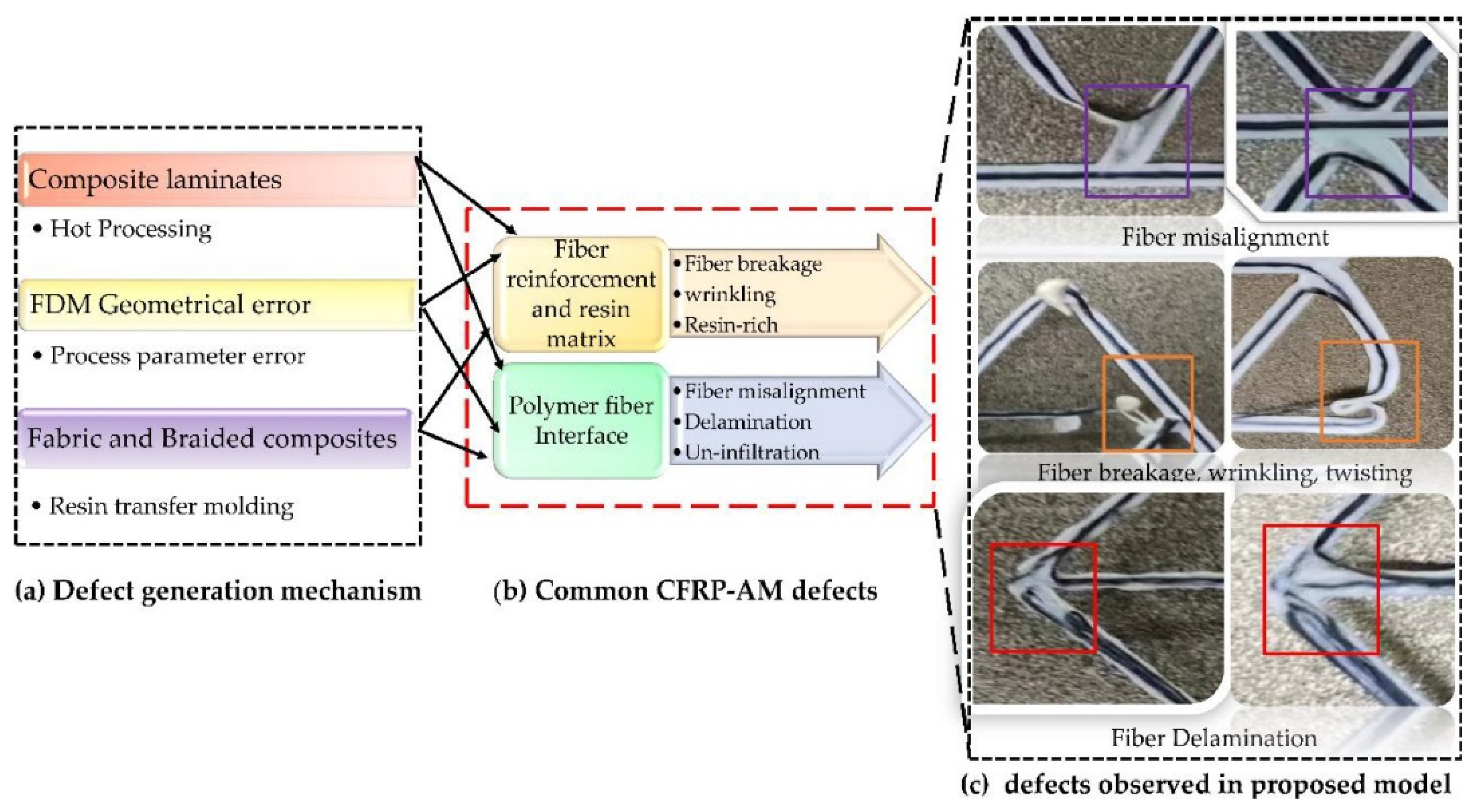 Polymers 16 02986 g012