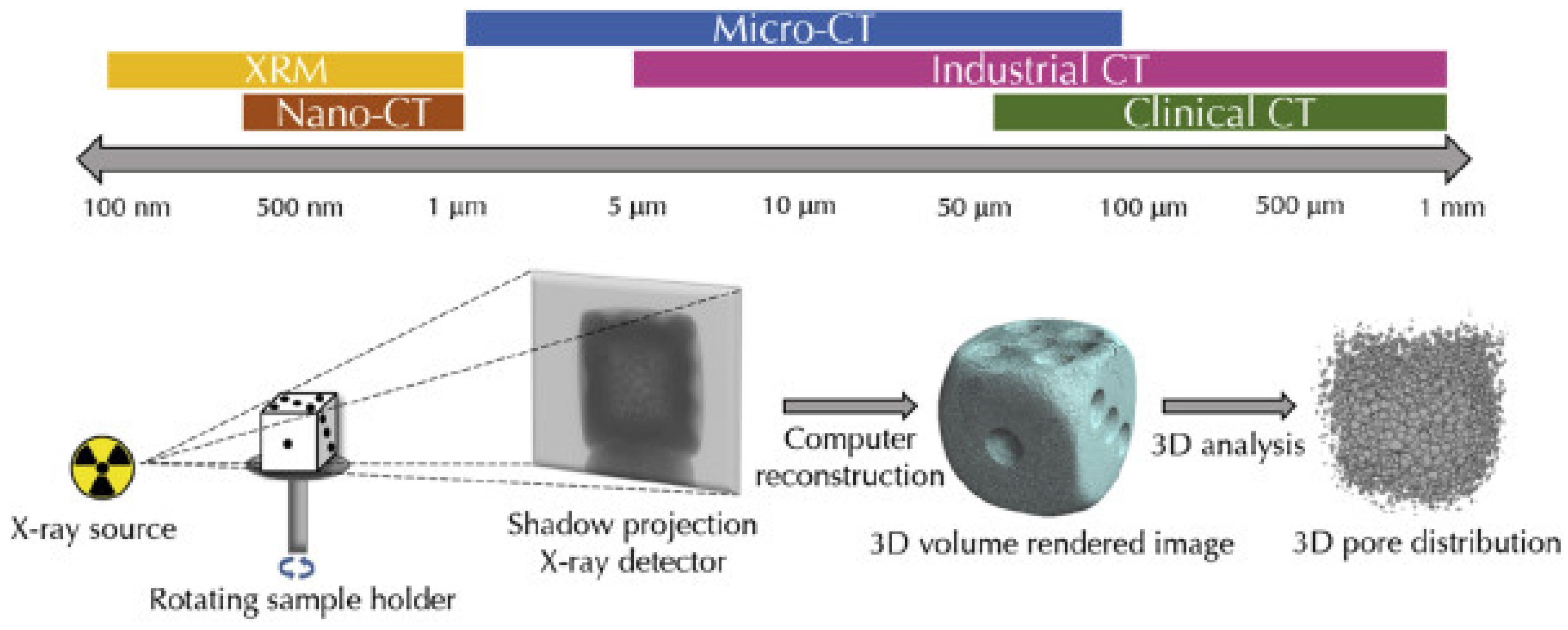 Polymers 16 02986 g024
