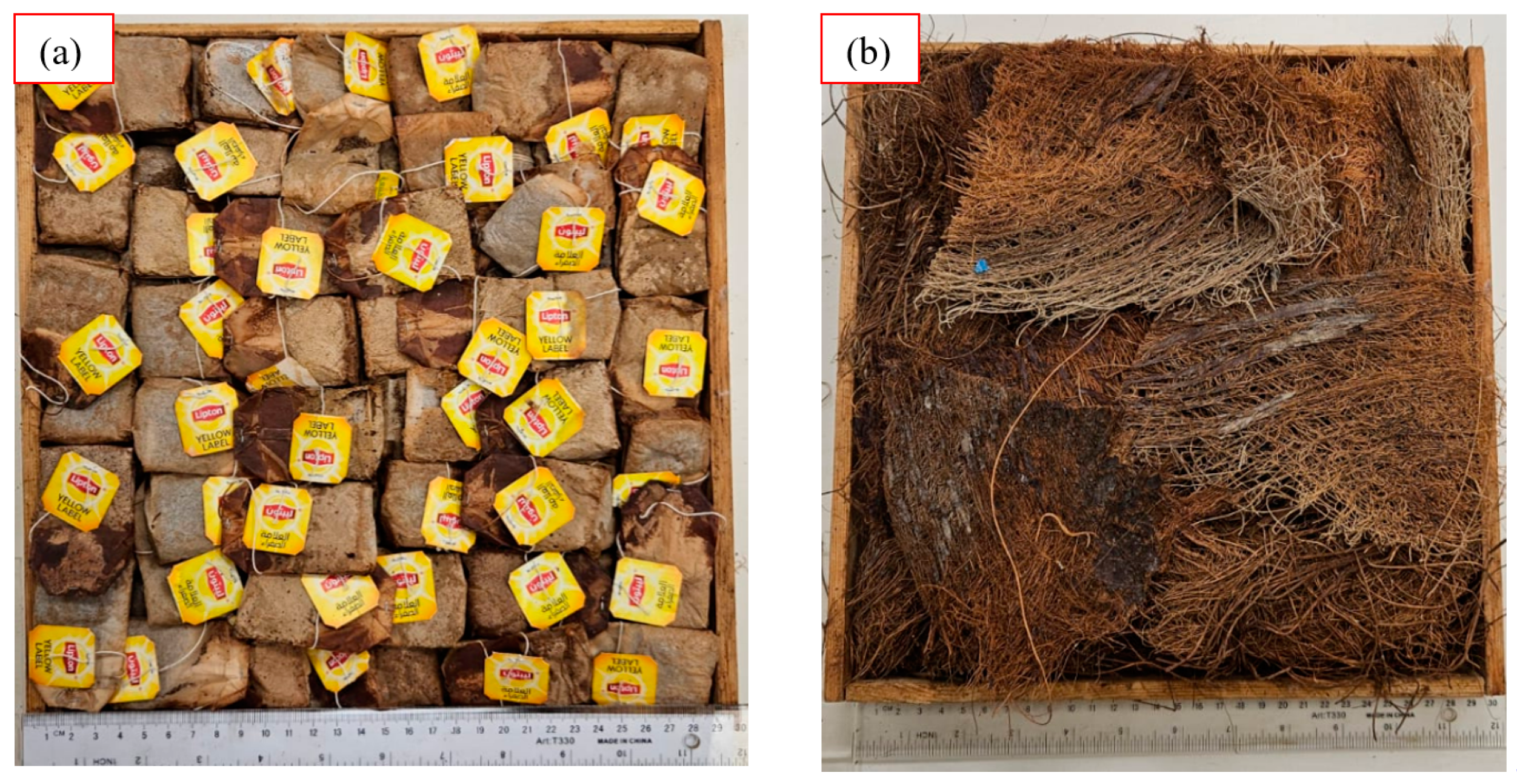 Polymers 16 02989 g002