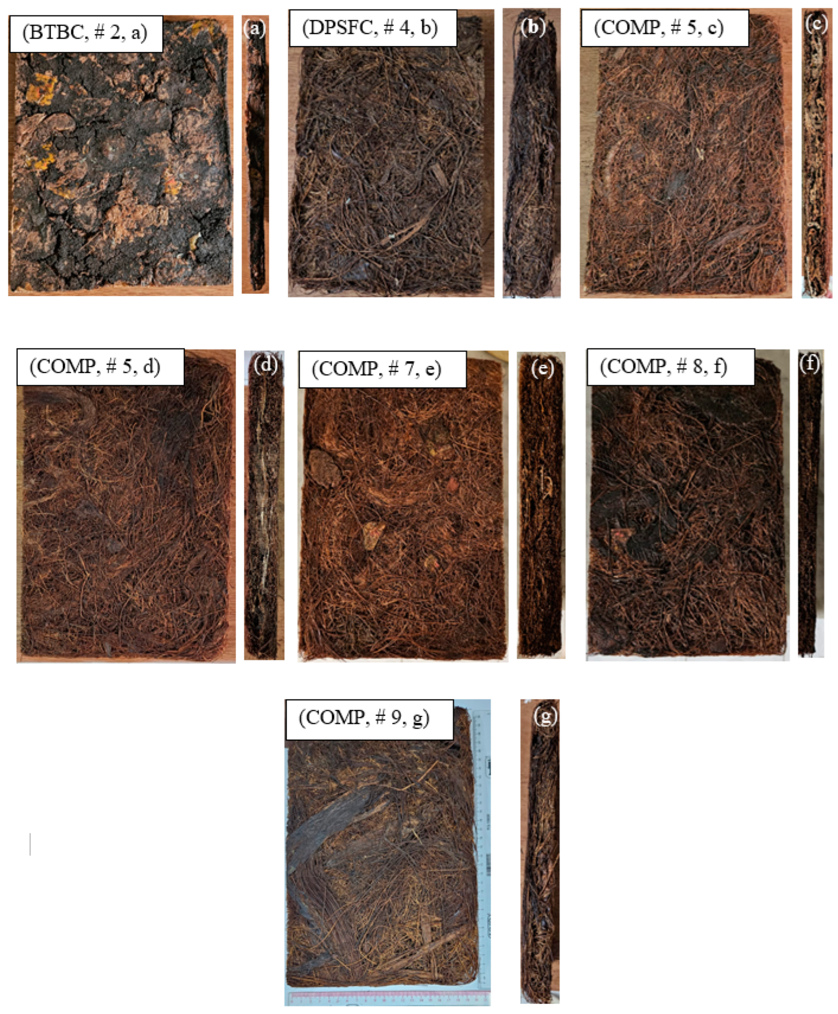 Polymers 16 02989 g005