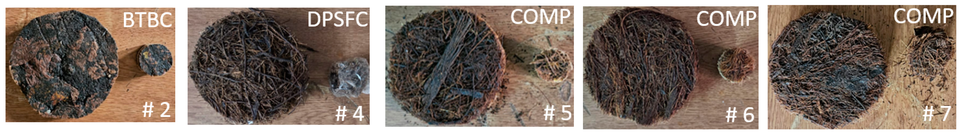 Polymers 16 02989 g008