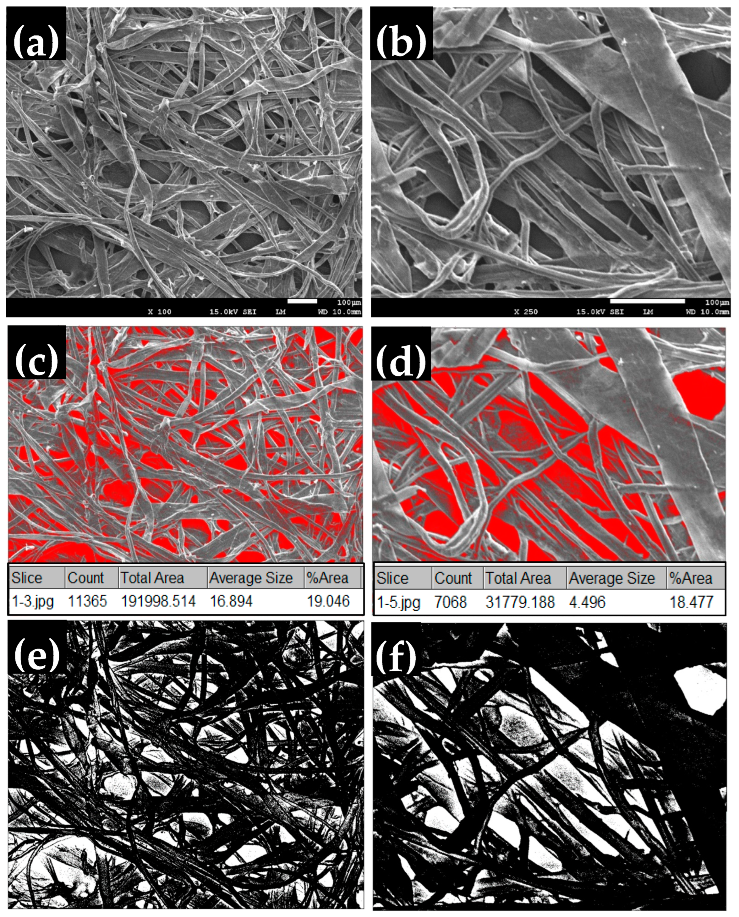 Polymers 16 02989 g017