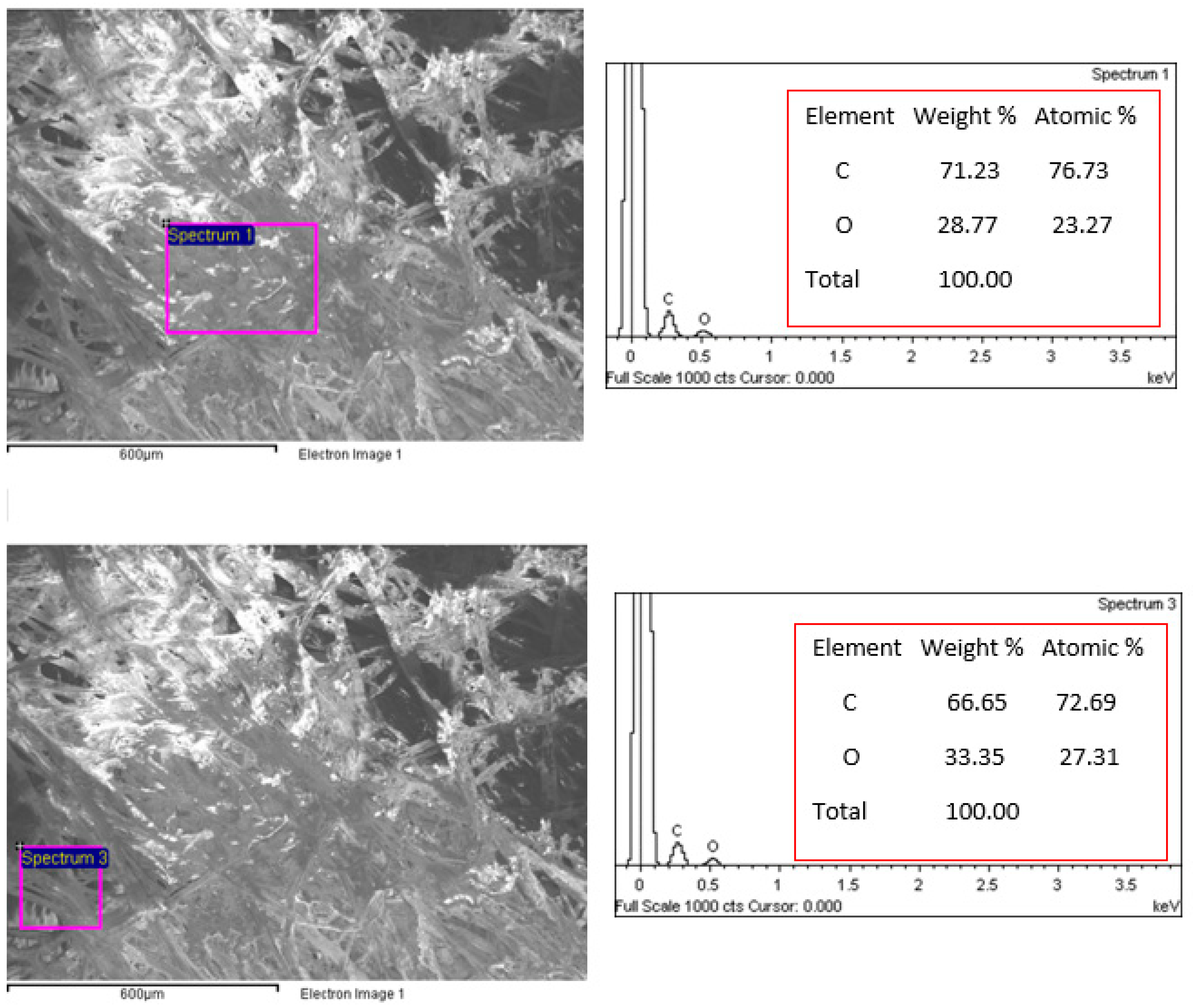 Polymers 16 02989 g018