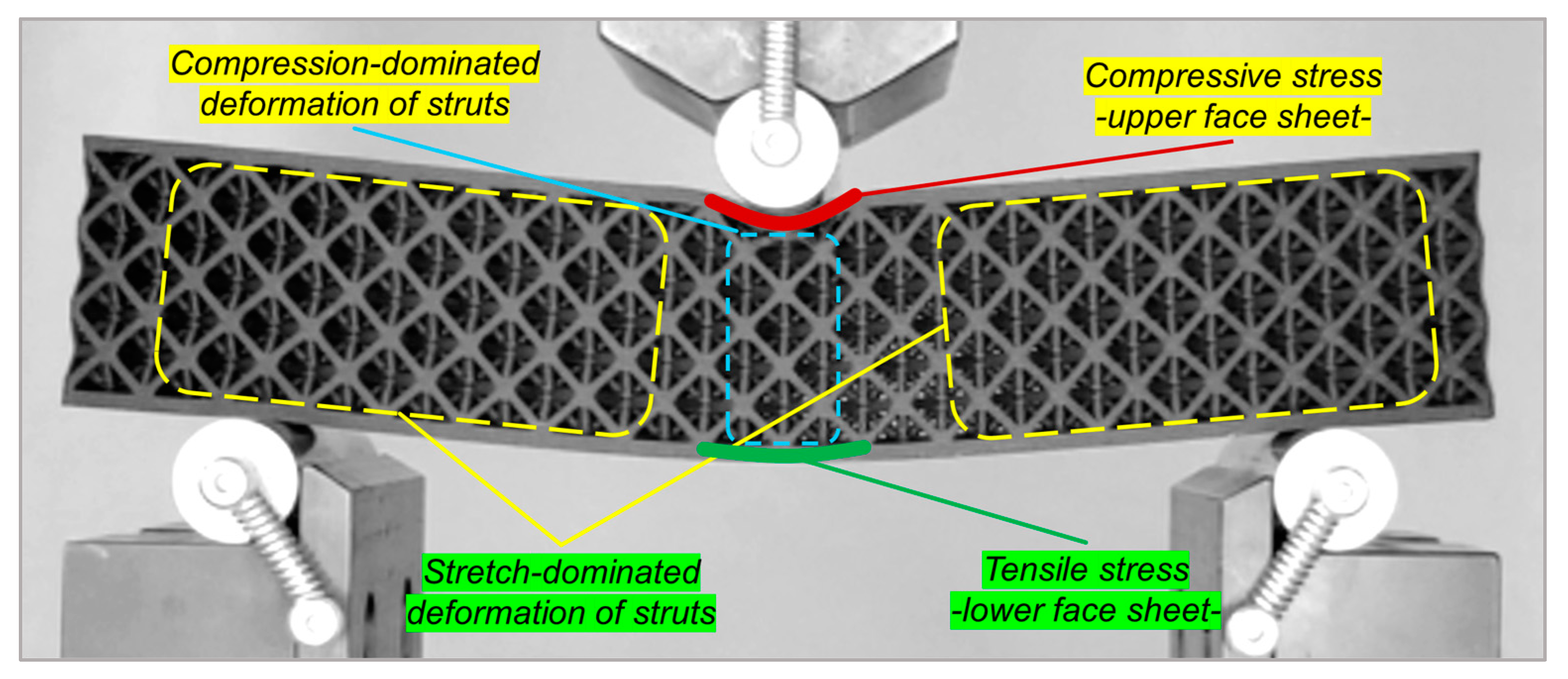 Polymers 16 02991 g007