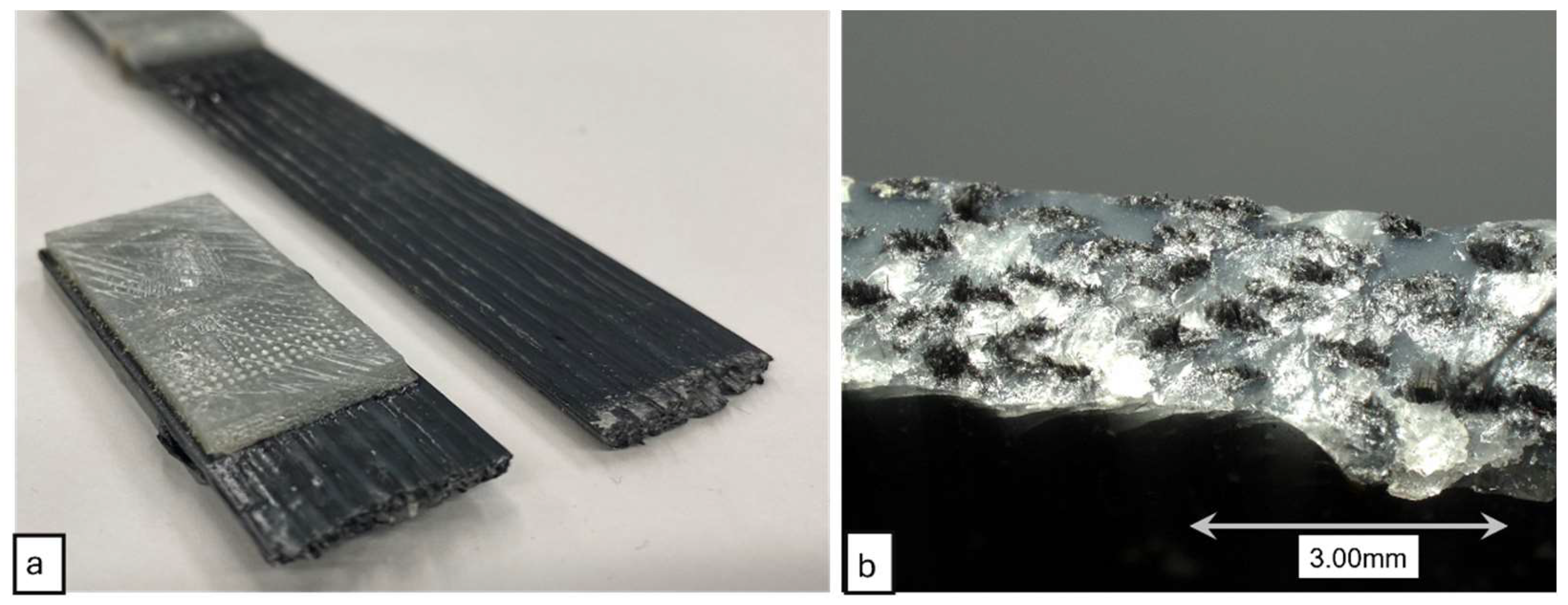 Polymers 16 02996 g014