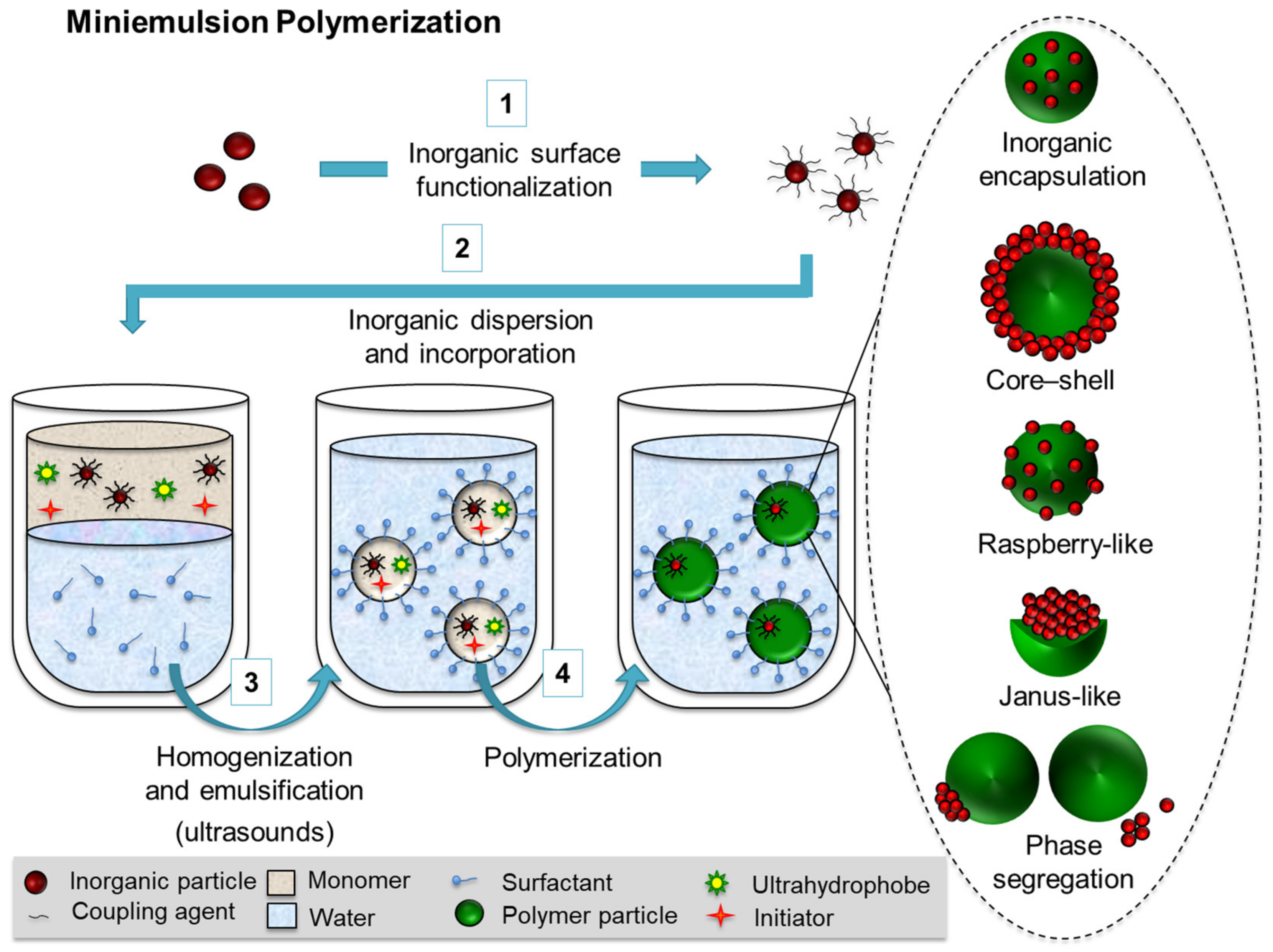Polymers 16 02997 g002
