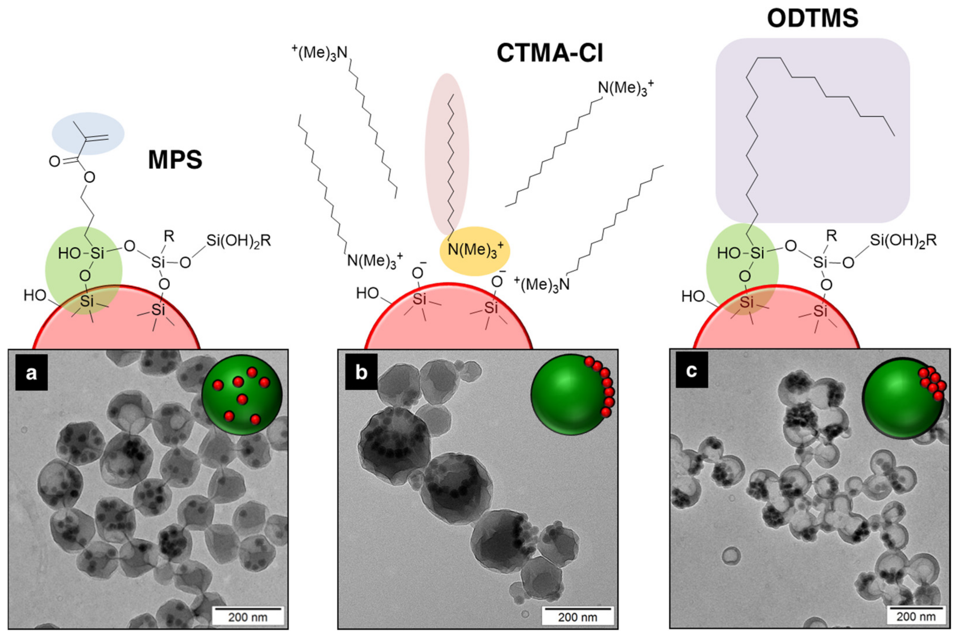 Polymers 16 02997 g004