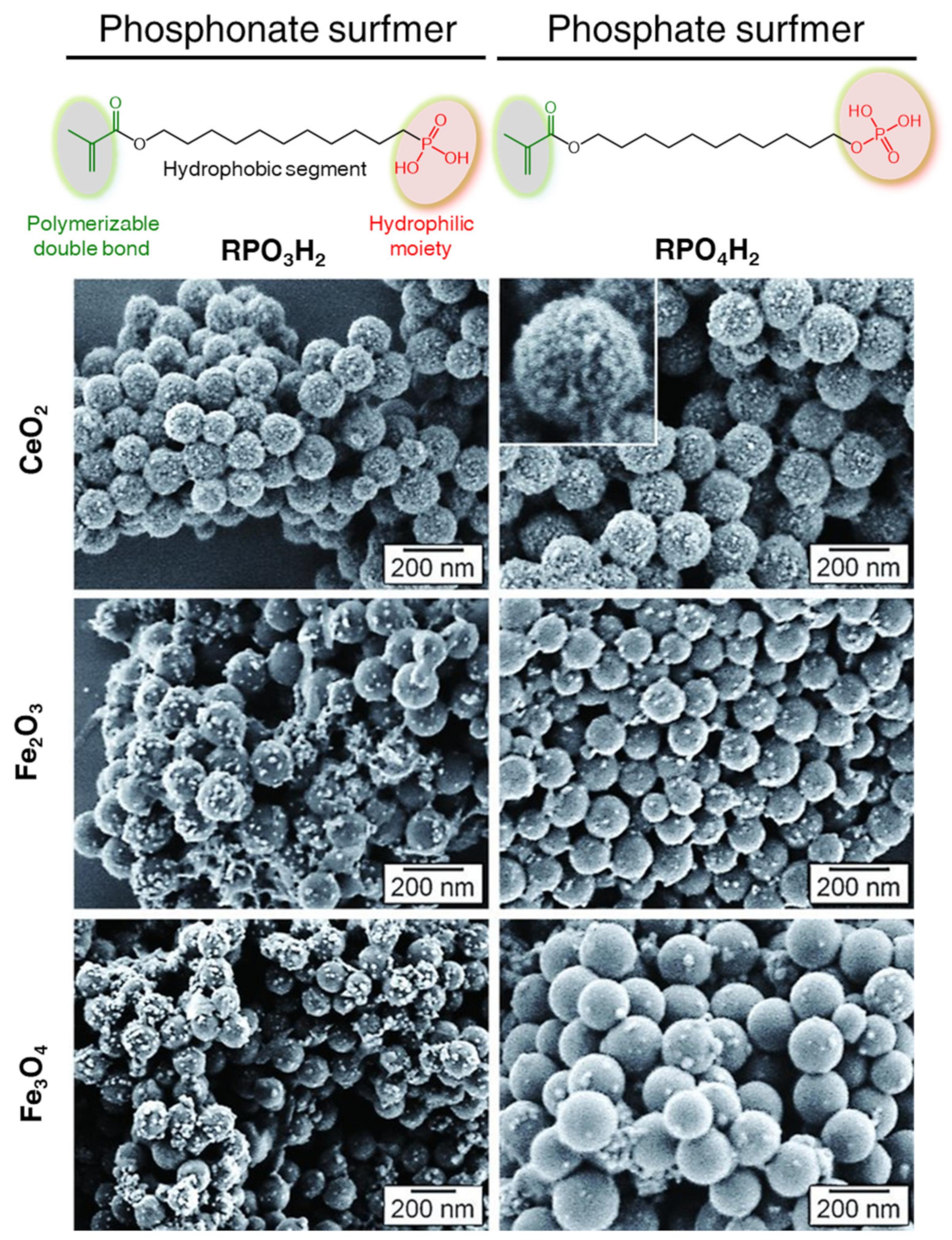 Polymers 16 02997 g007