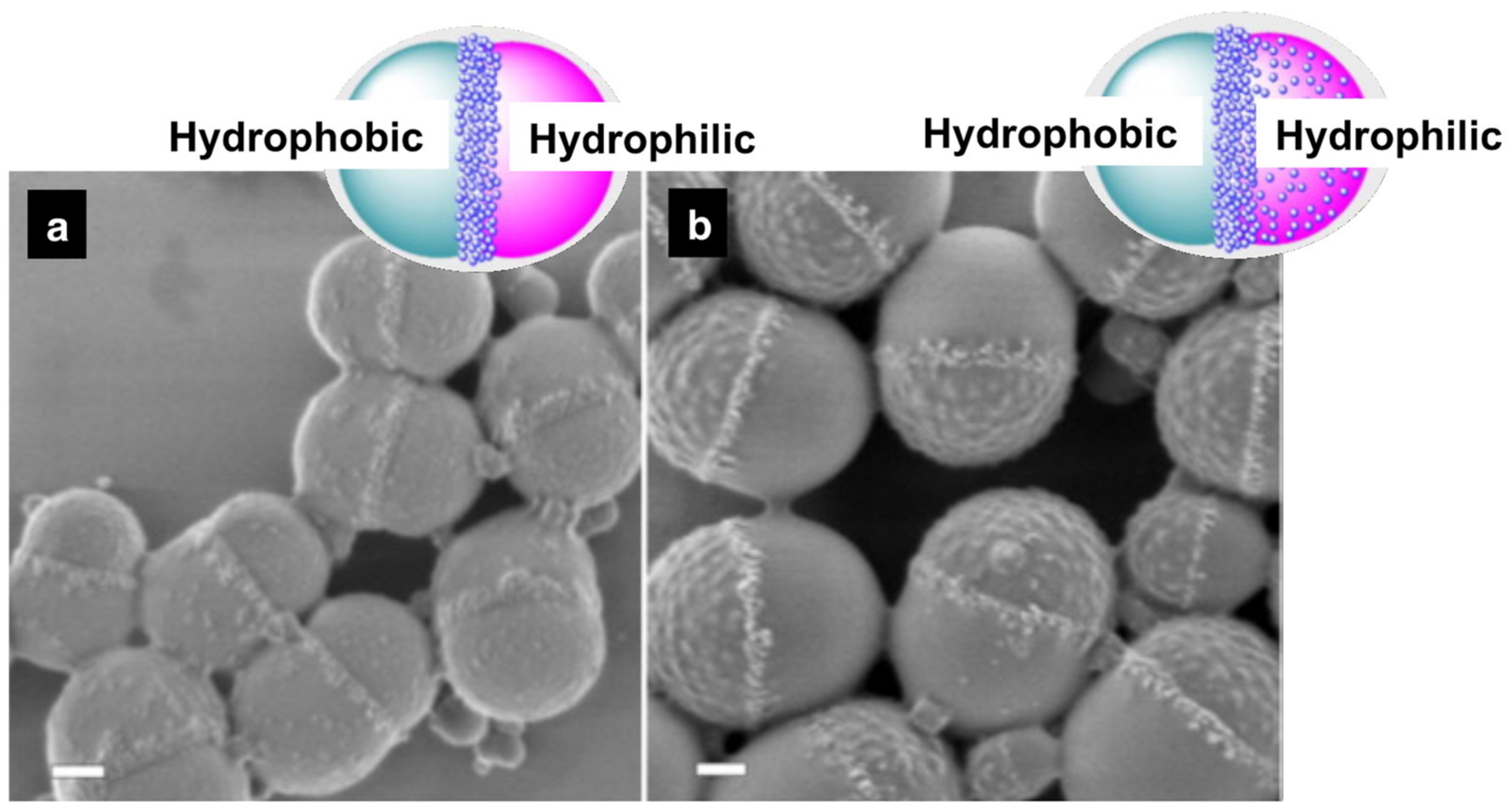 Polymers 16 02997 g008