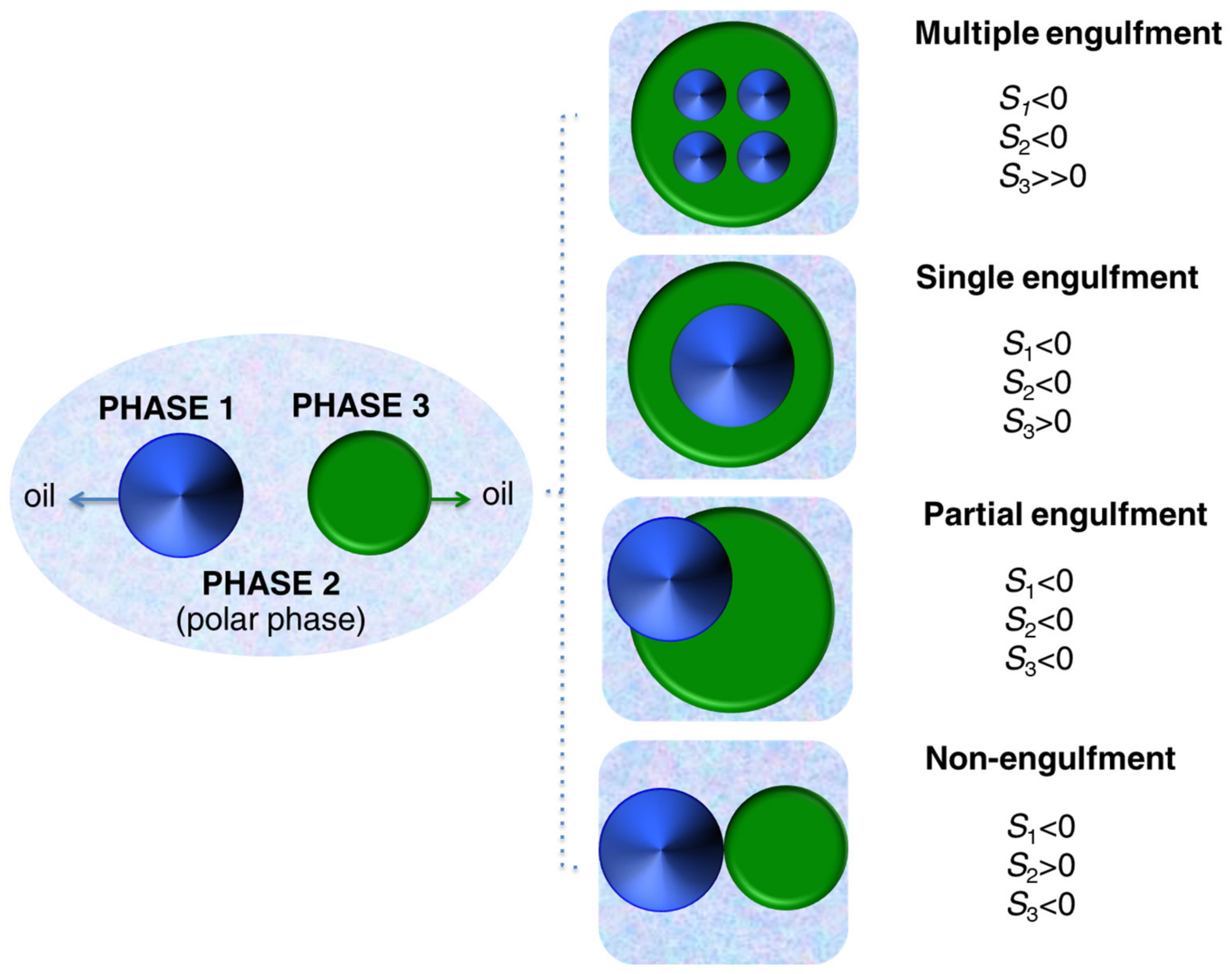 Polymers 16 02997 g010
