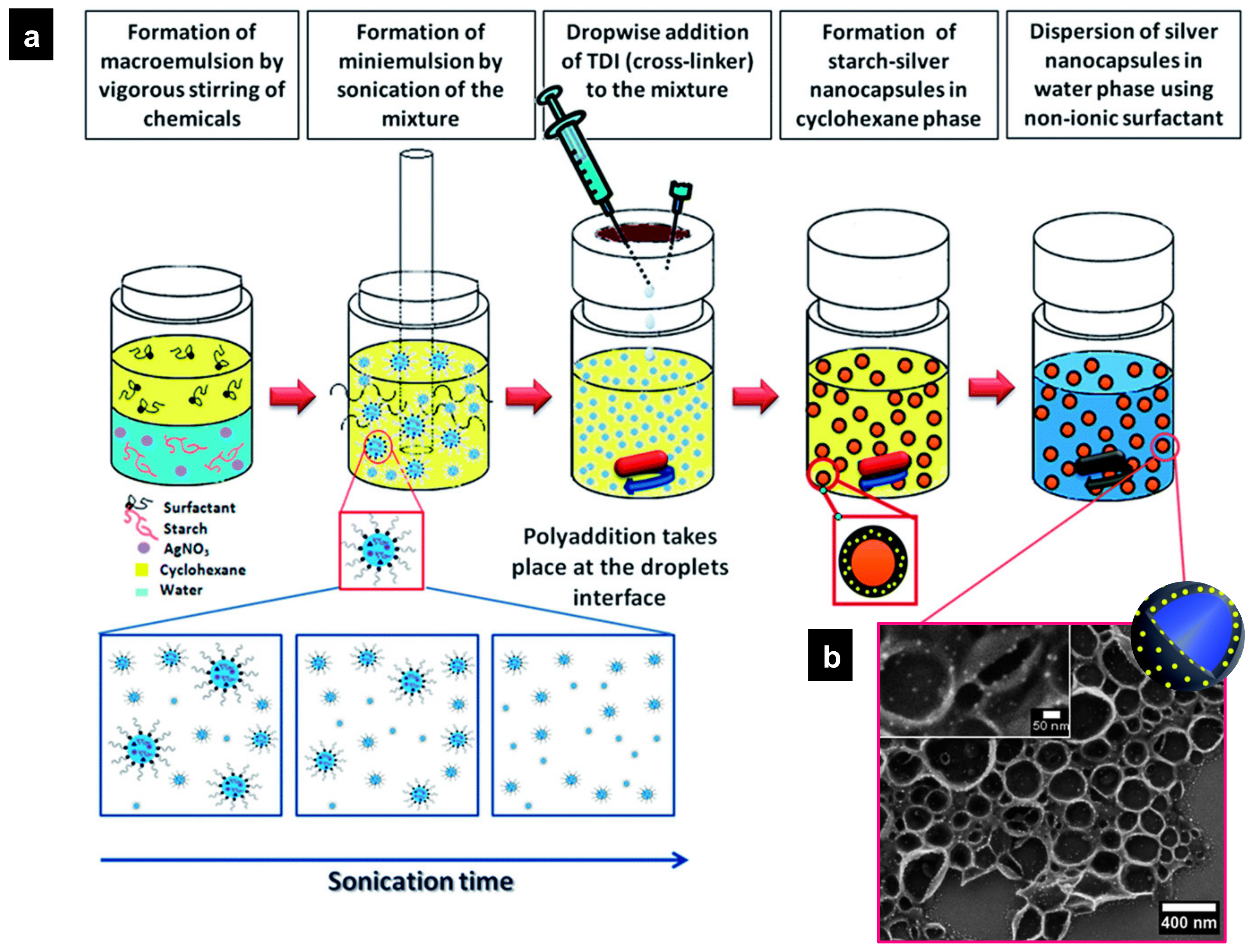 Polymers 16 02997 g014