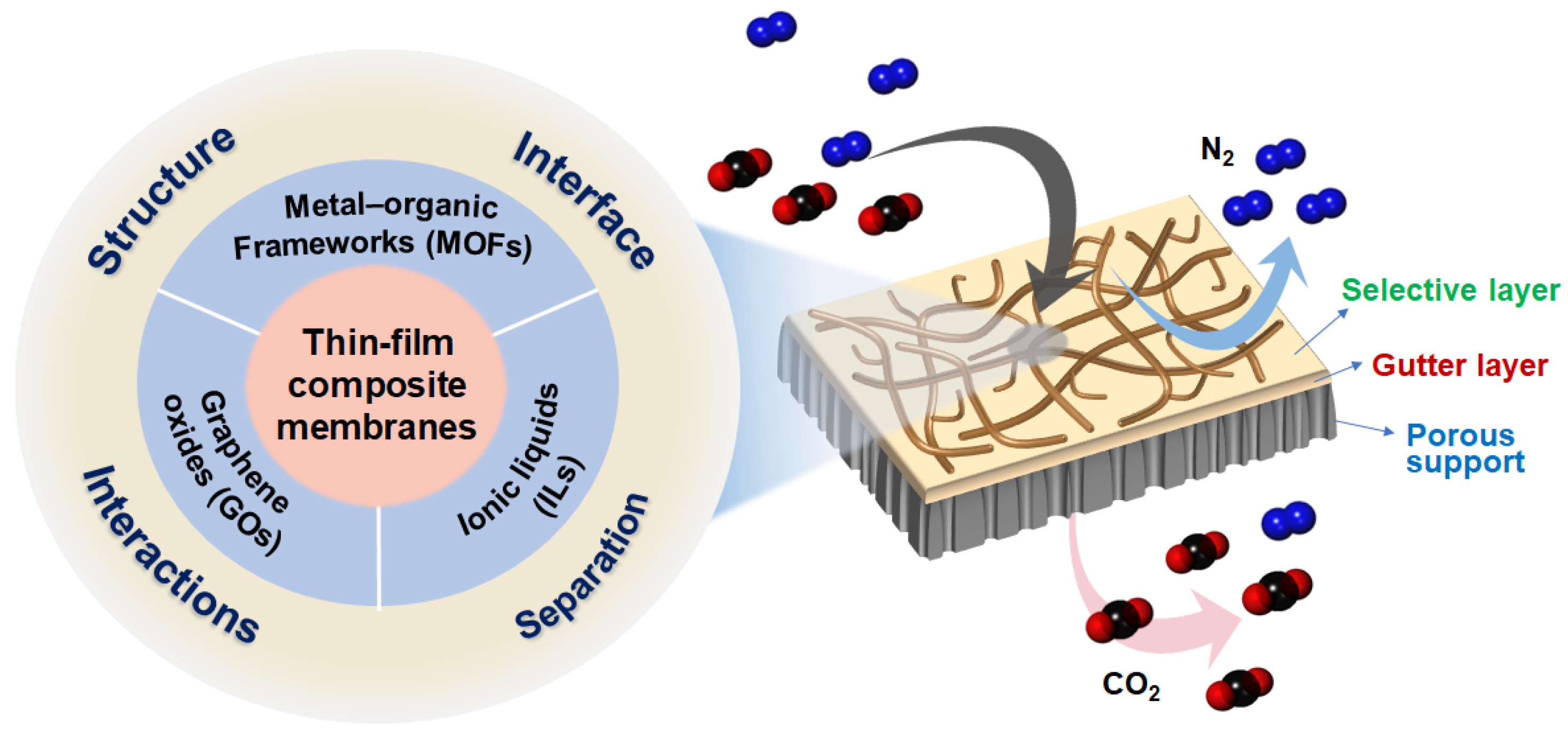 Polymers 16 02998 g002