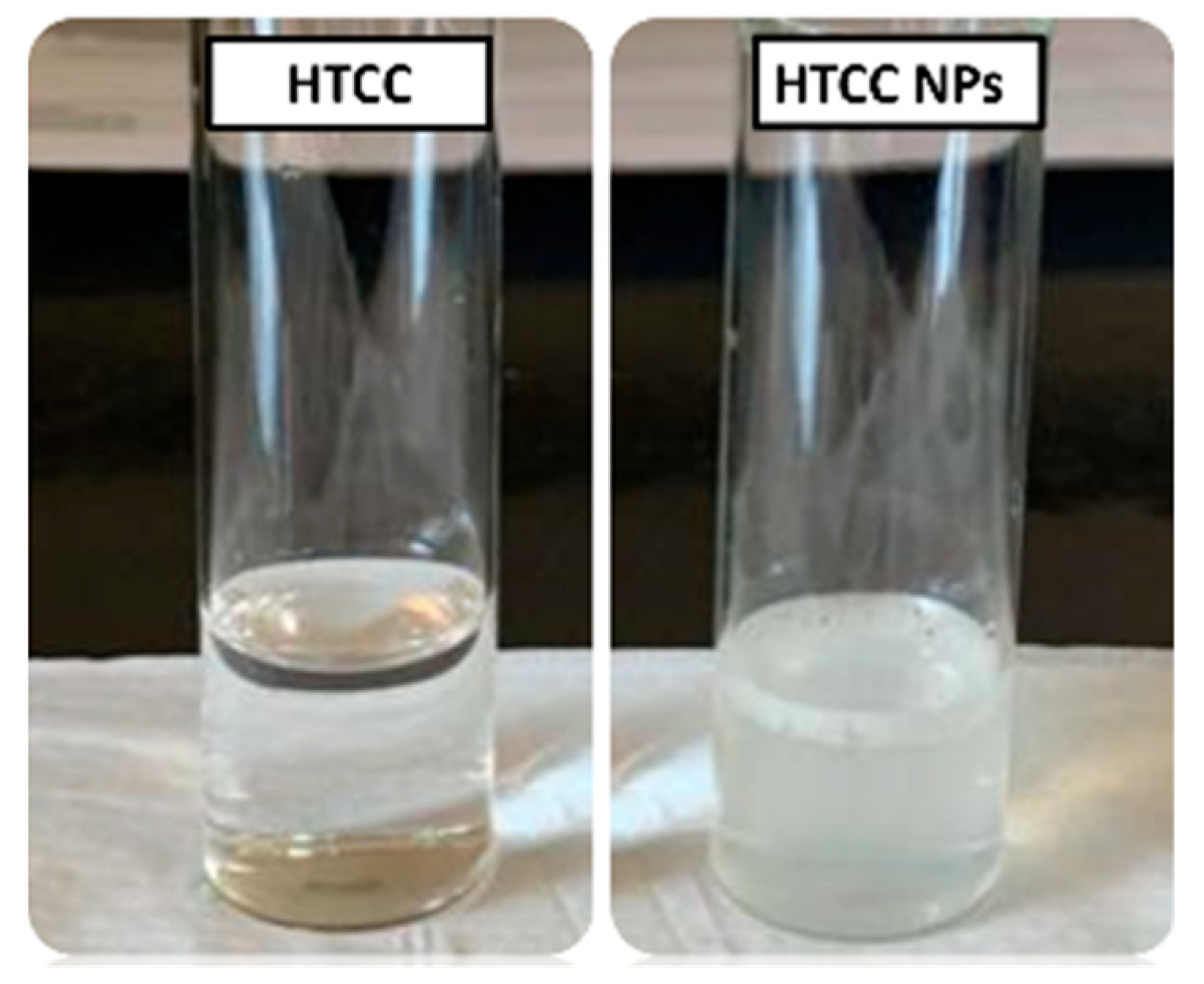 Polymers 16 02999 g008