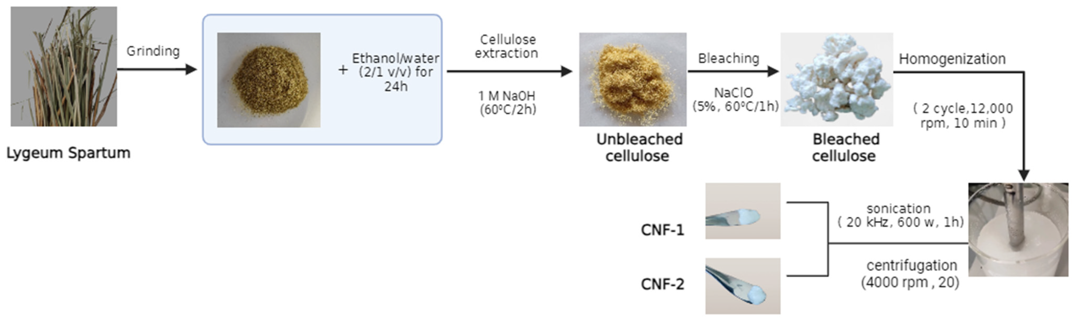 Polymers 16 03001 g001