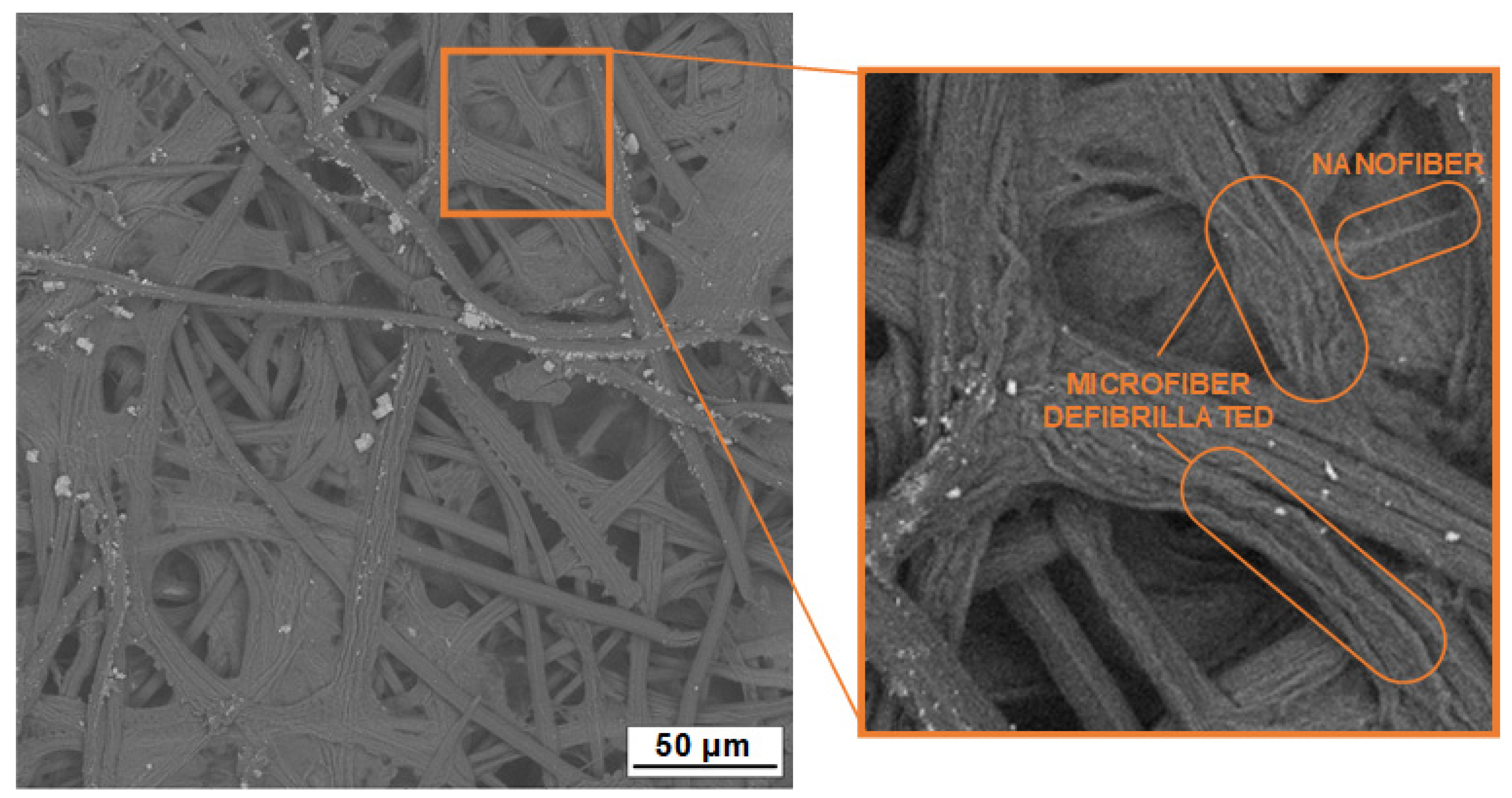 Polymers 16 03001 g008