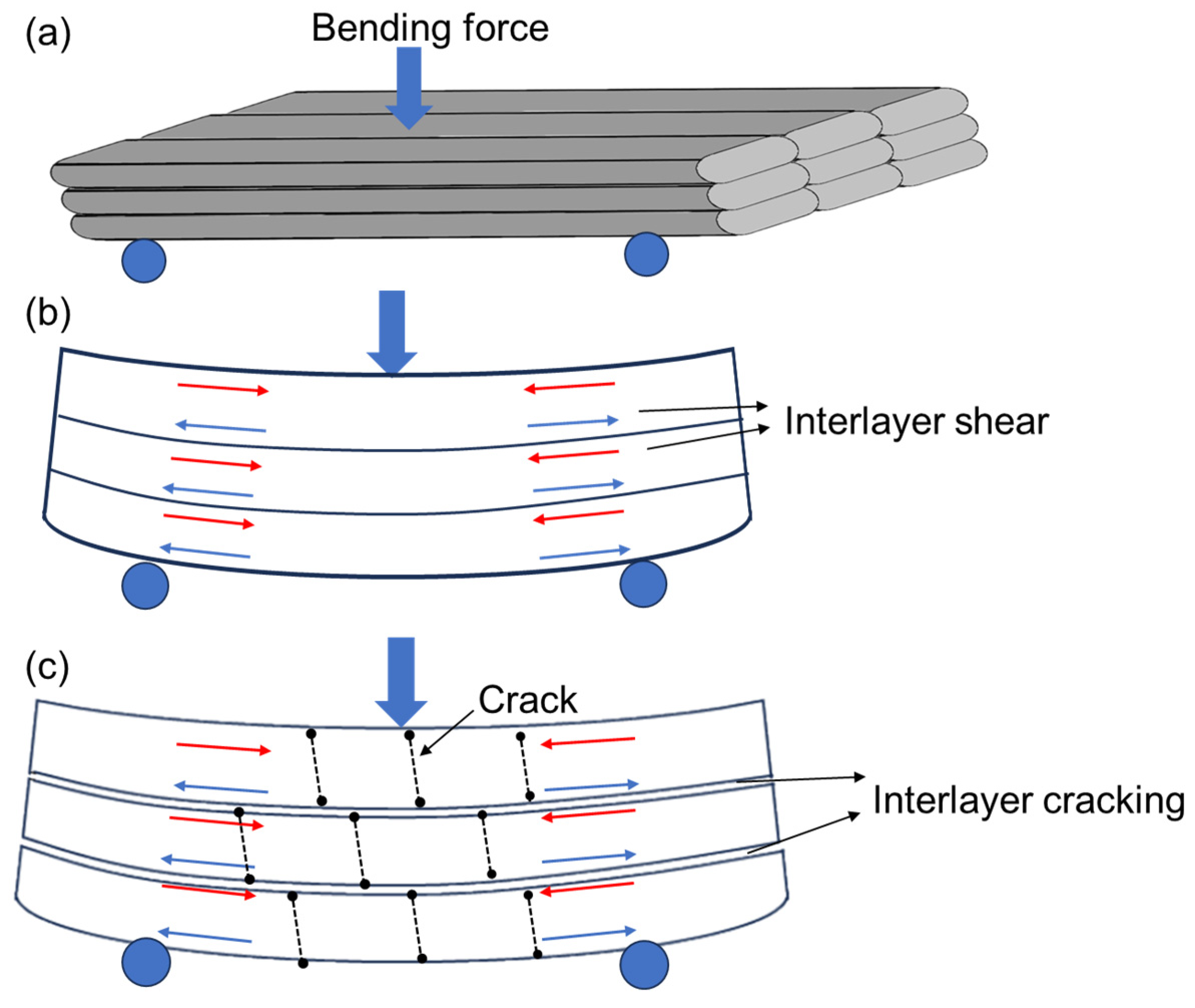 Polymers 16 03007 g007