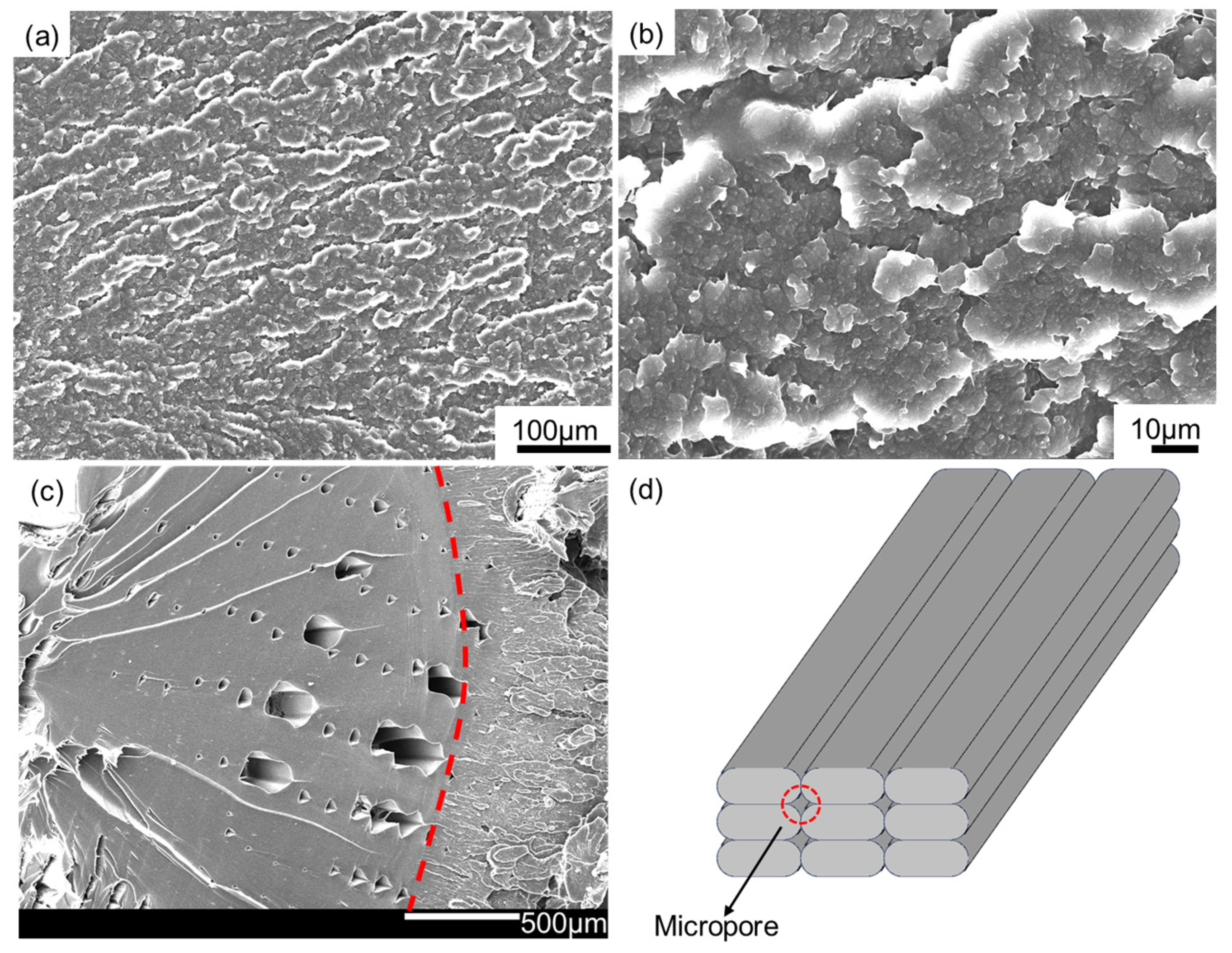 Polymers 16 03007 g008