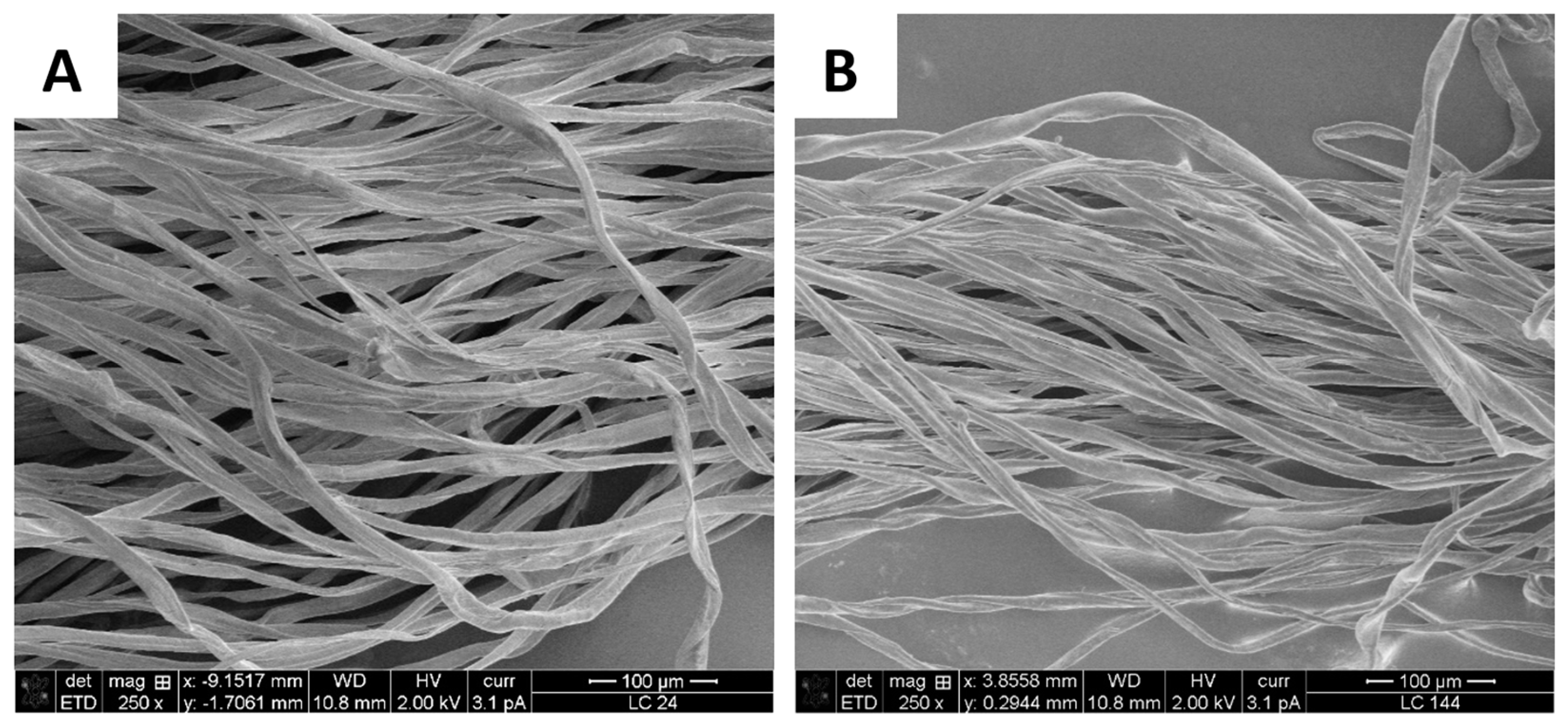 Polymers 16 03008 g012