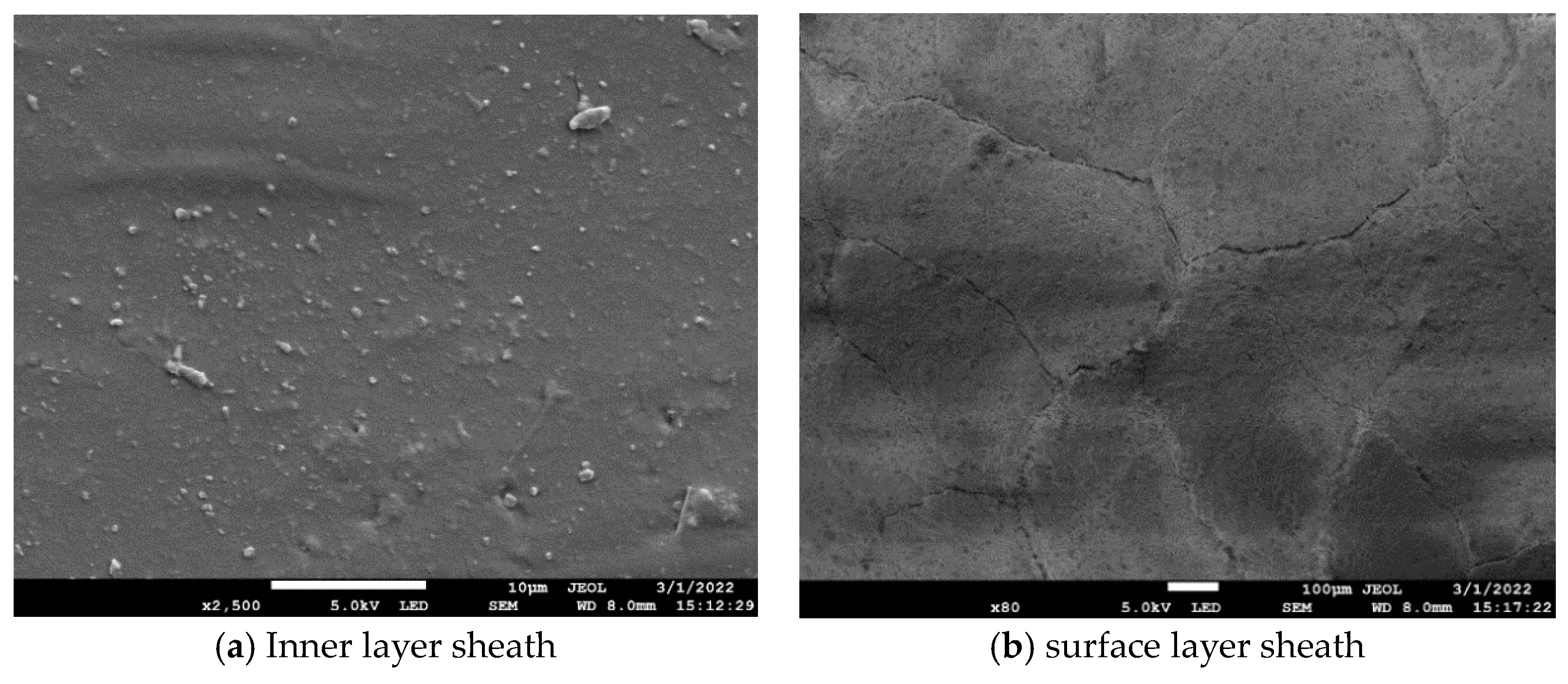 Polymers 16 03010 g009