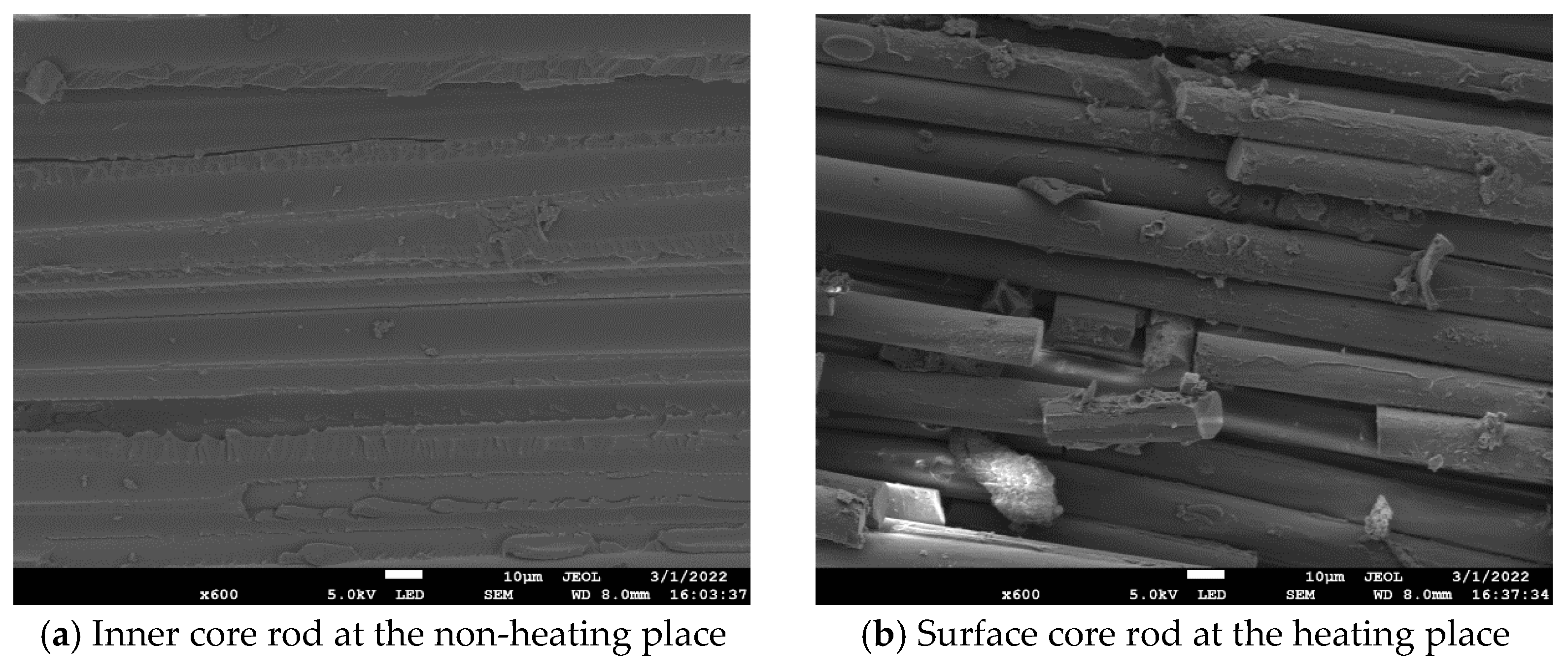 Polymers 16 03010 g012
