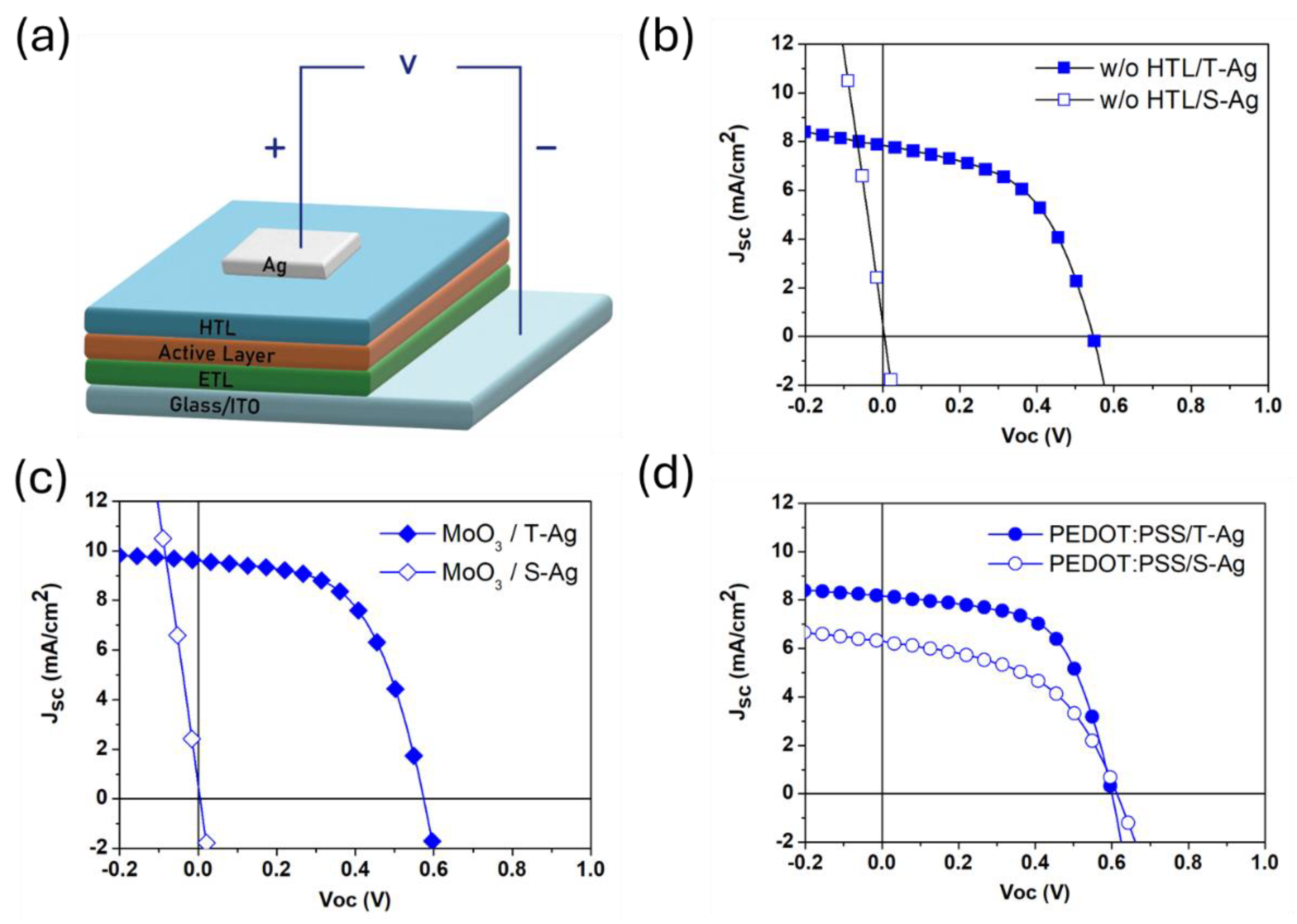 Polymers 16 03012 g001