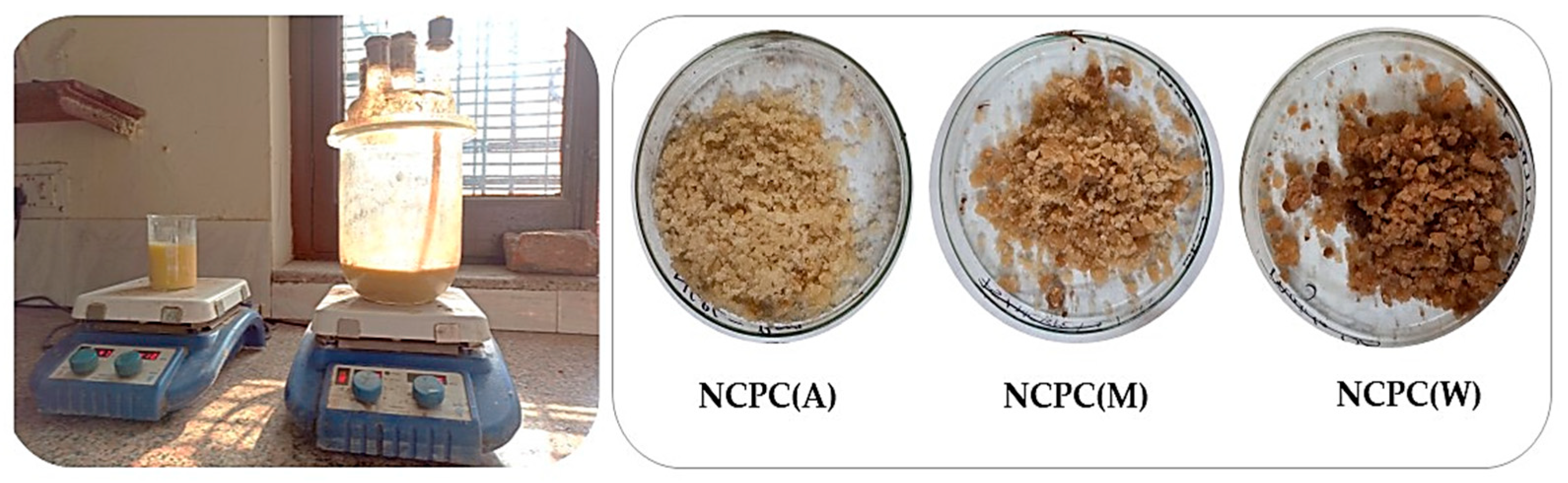 Polymers 16 03013 g001