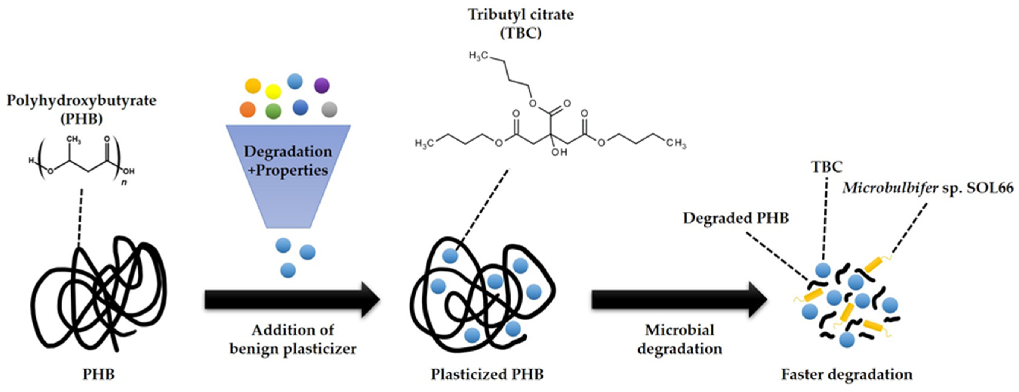Polymers 16 03015 g014