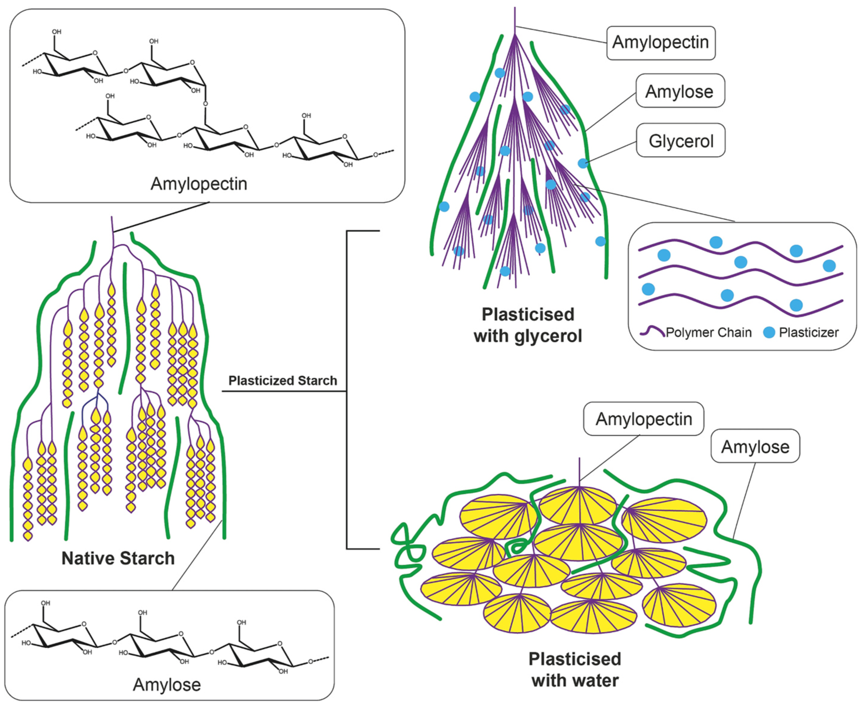 Polymers 16 03015 g016