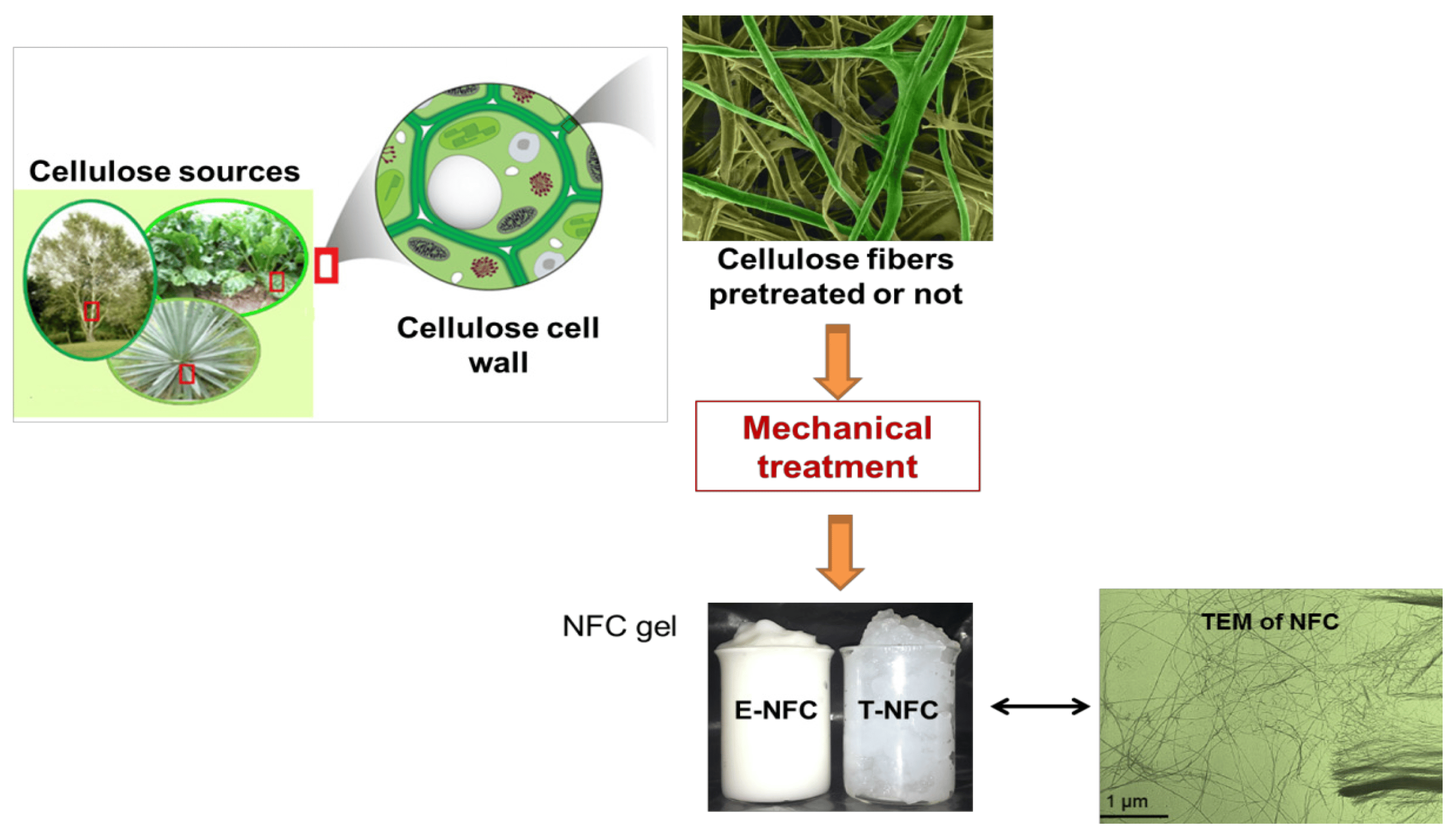 Polymers 16 03015 g019