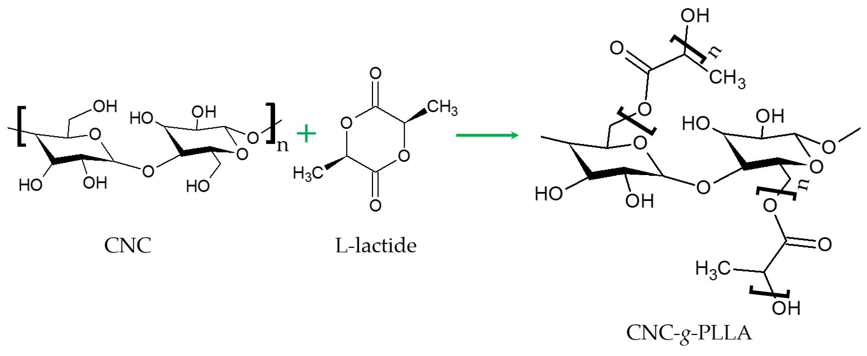 Polymers 16 03015 g023