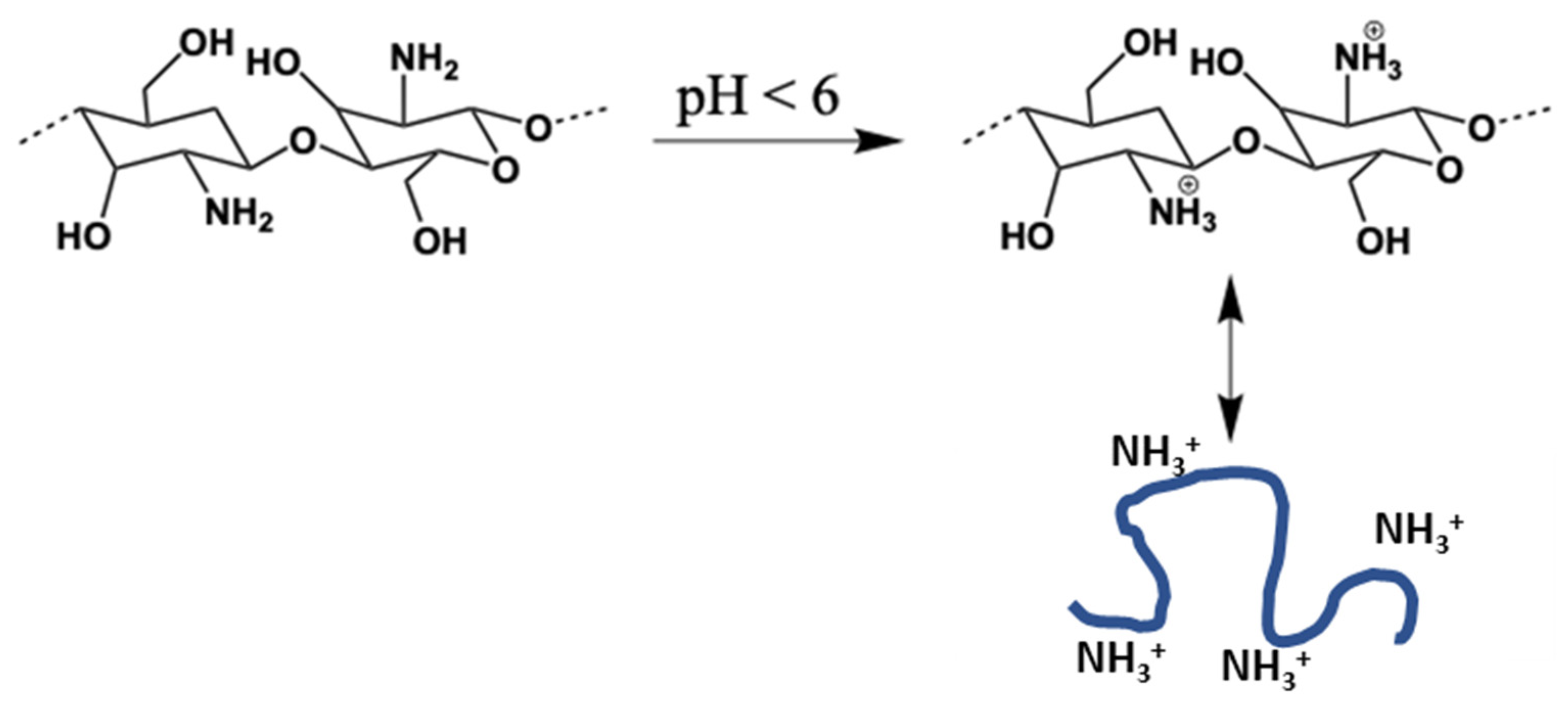 Polymers 16 03015 g032