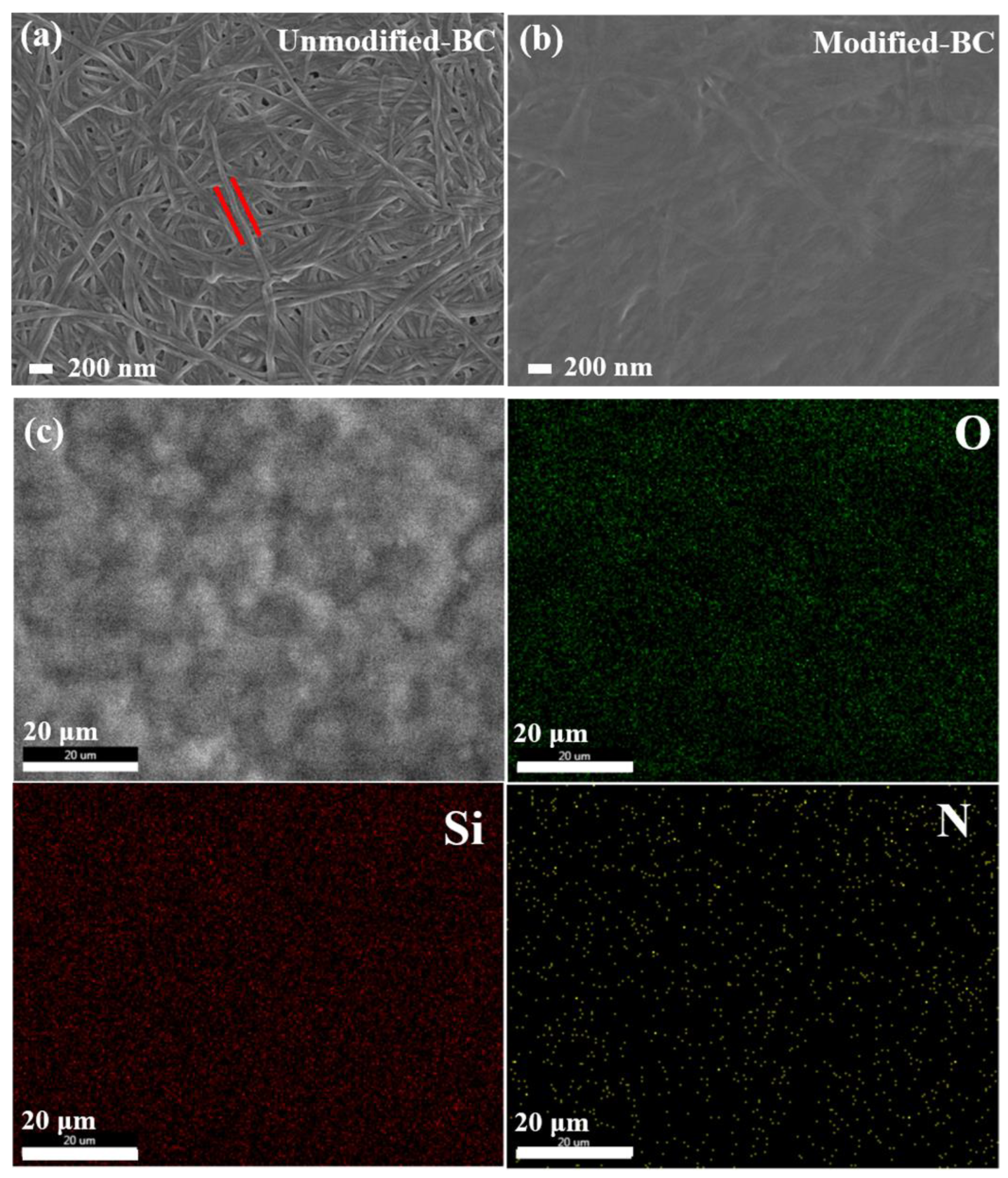 Polymers 16 03017 g003