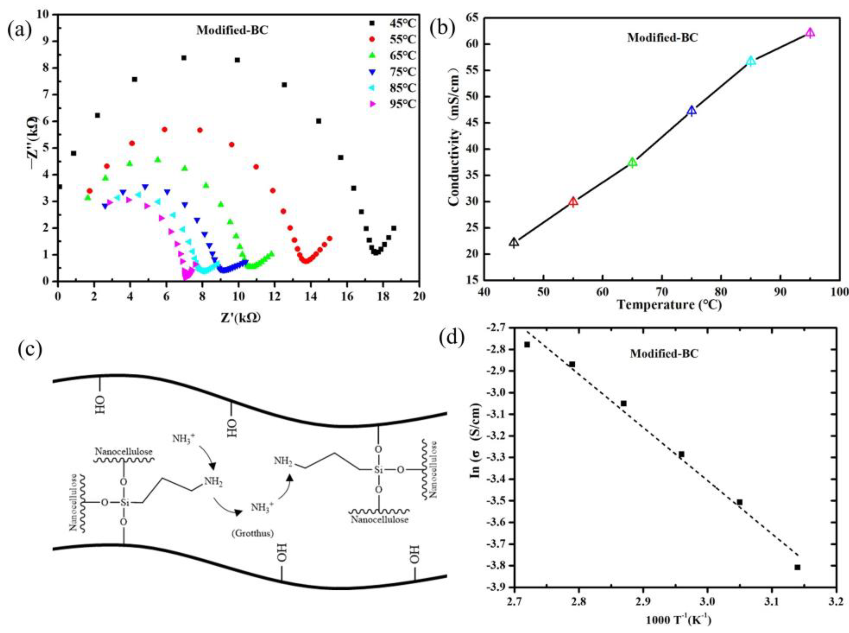 Polymers 16 03017 g007