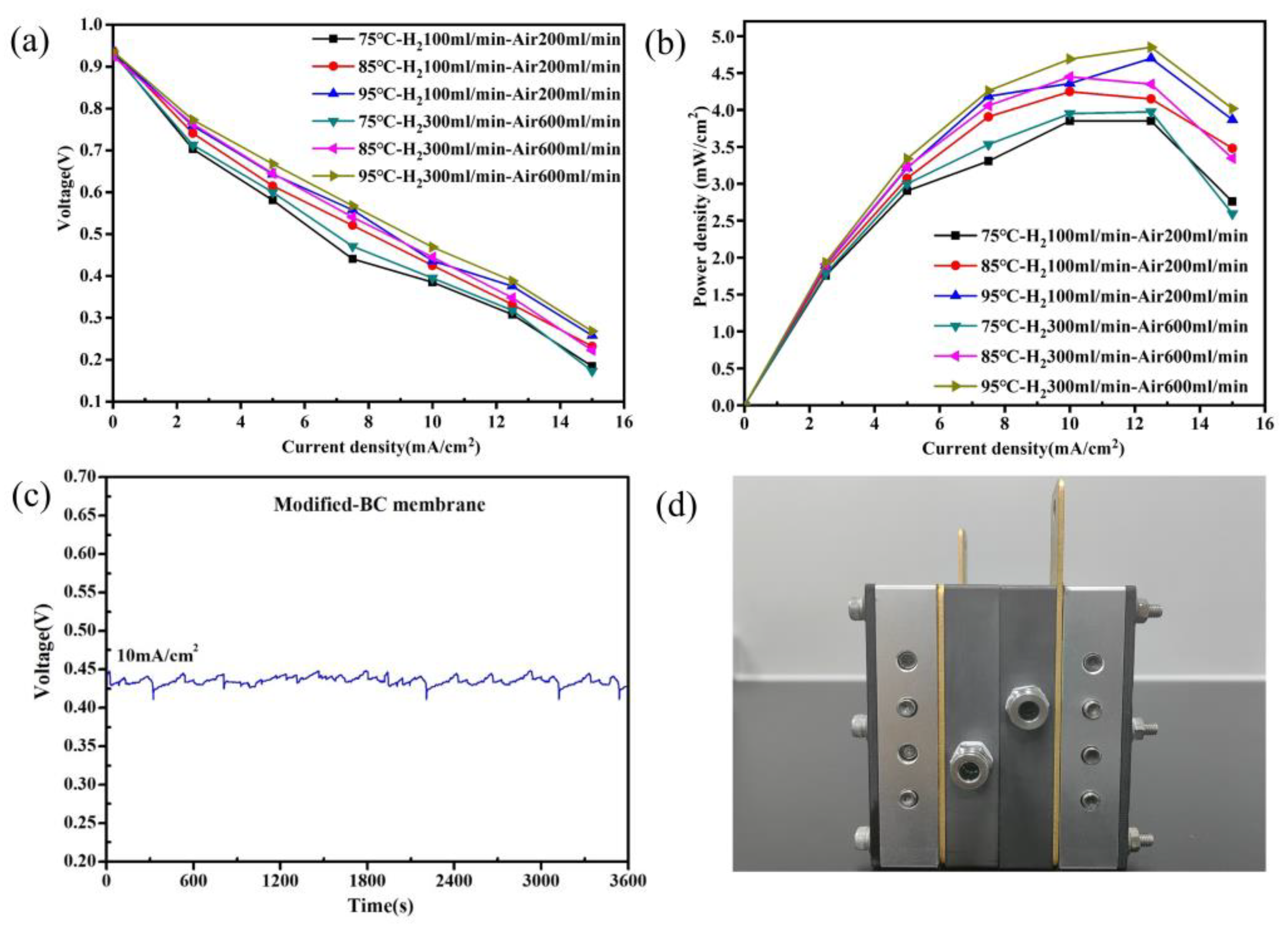 Polymers 16 03017 g008