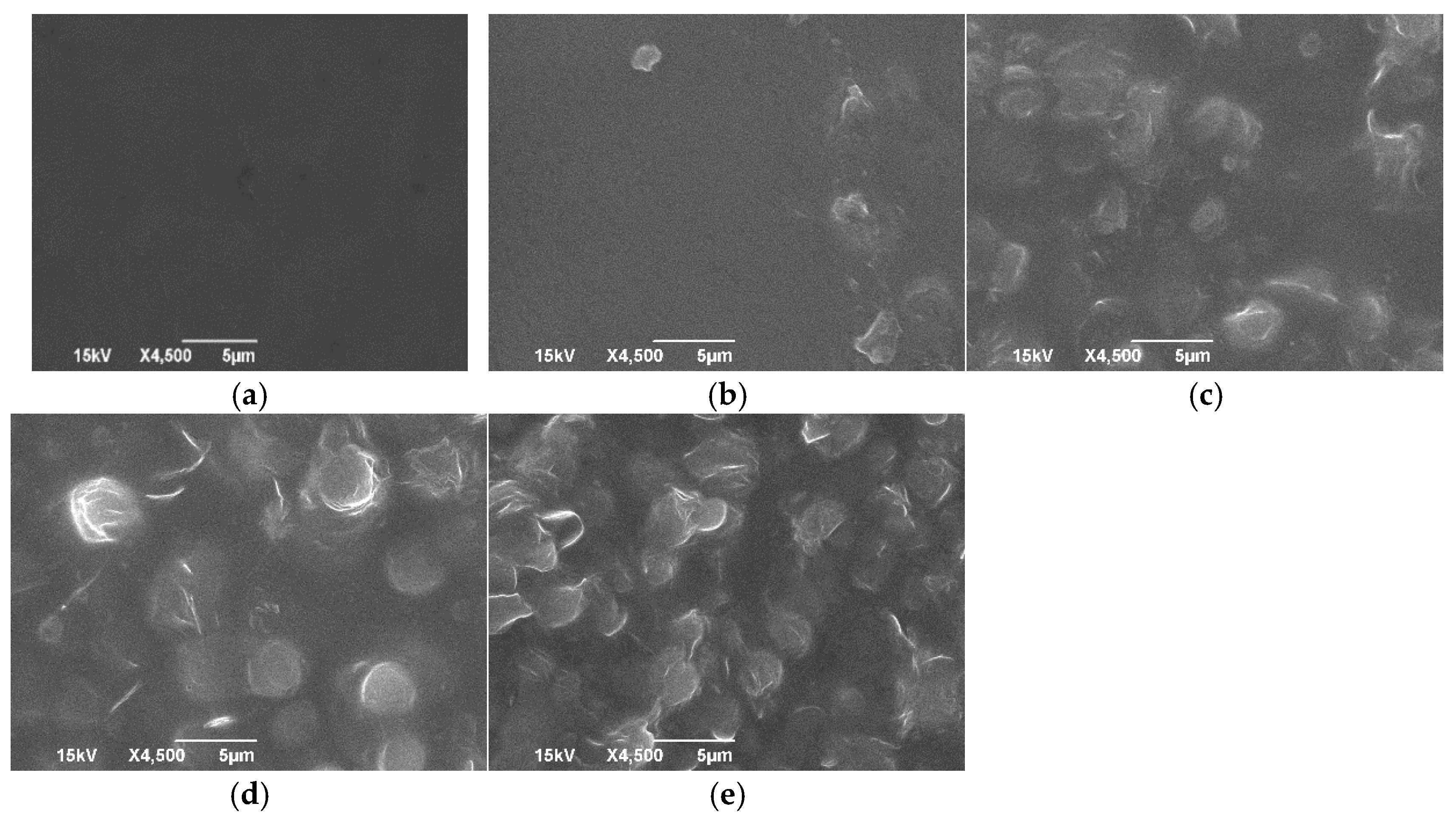 Polymers 16 03024 g005